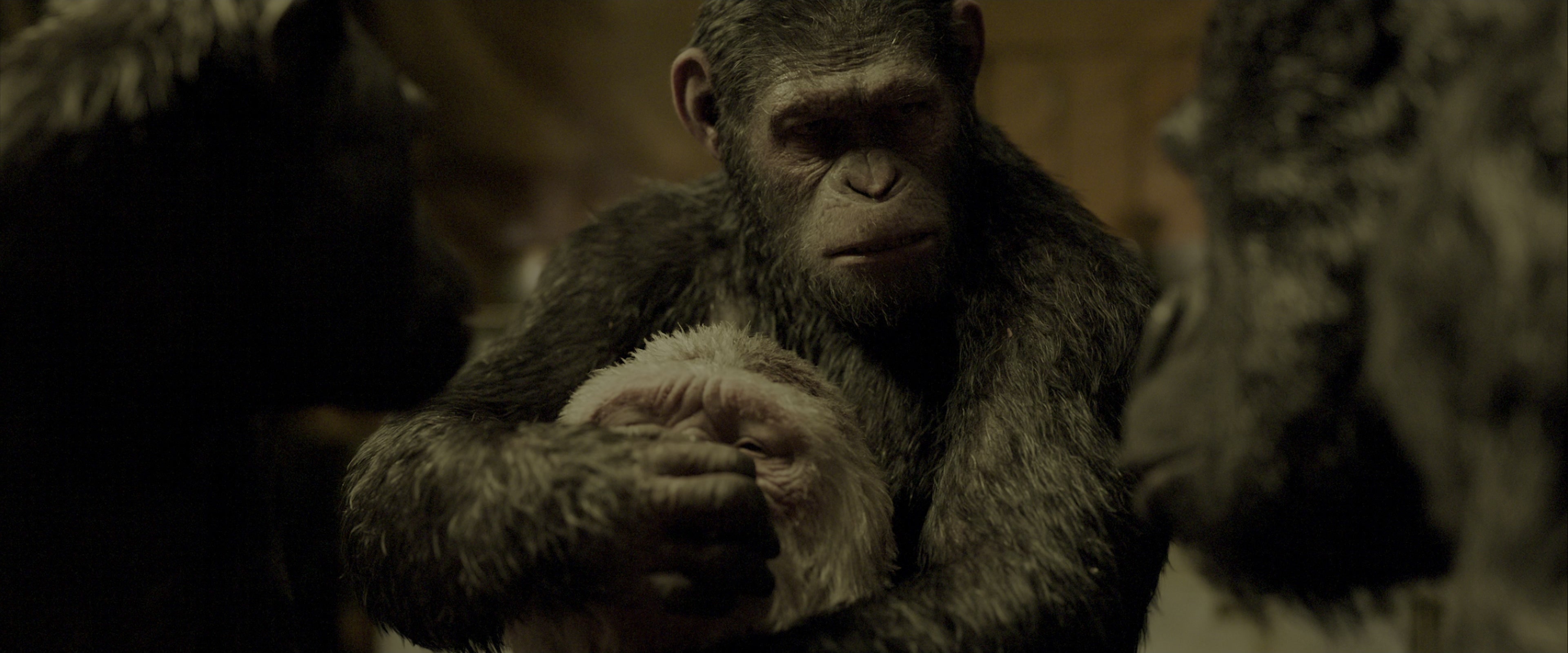 War for the Planet of the Apes (2017), wide, 2.40:1 — film still