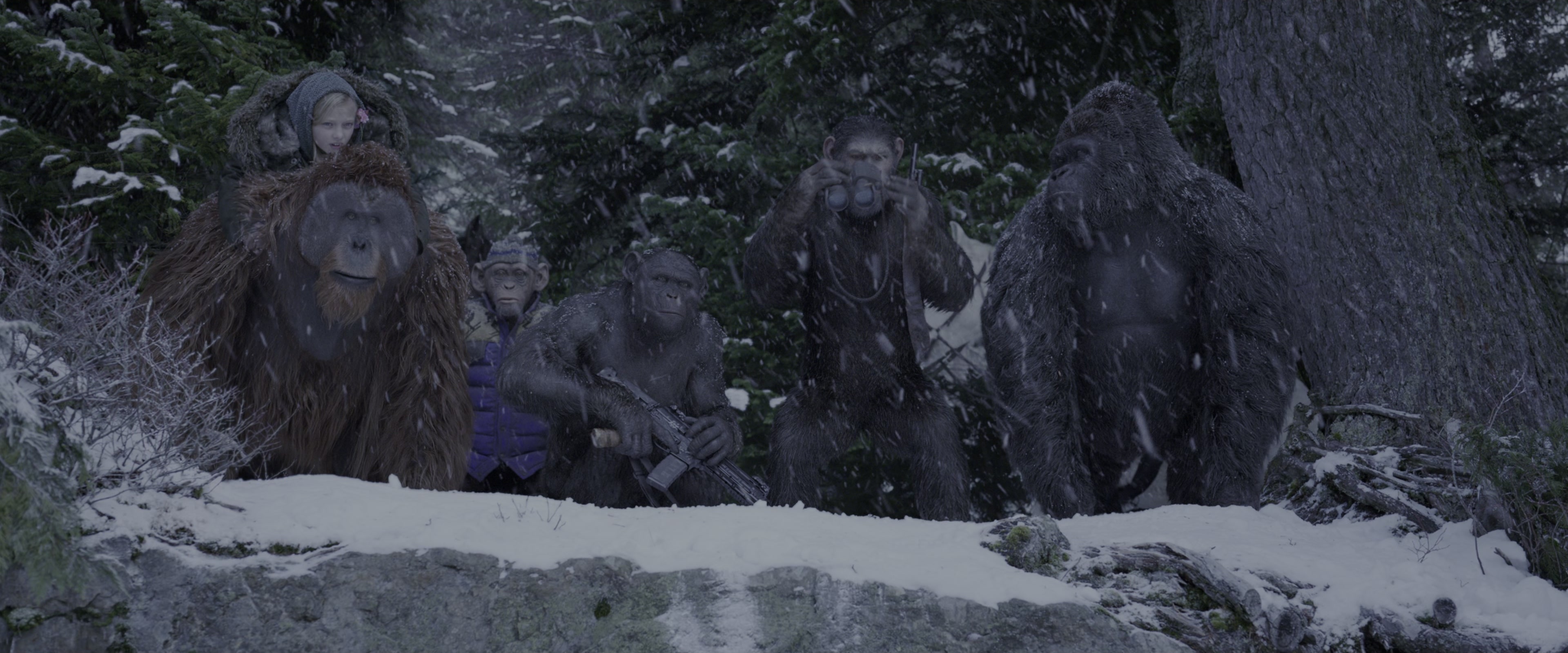 War for the Planet of the Apes (2017), wide, 2.40:1 — film still