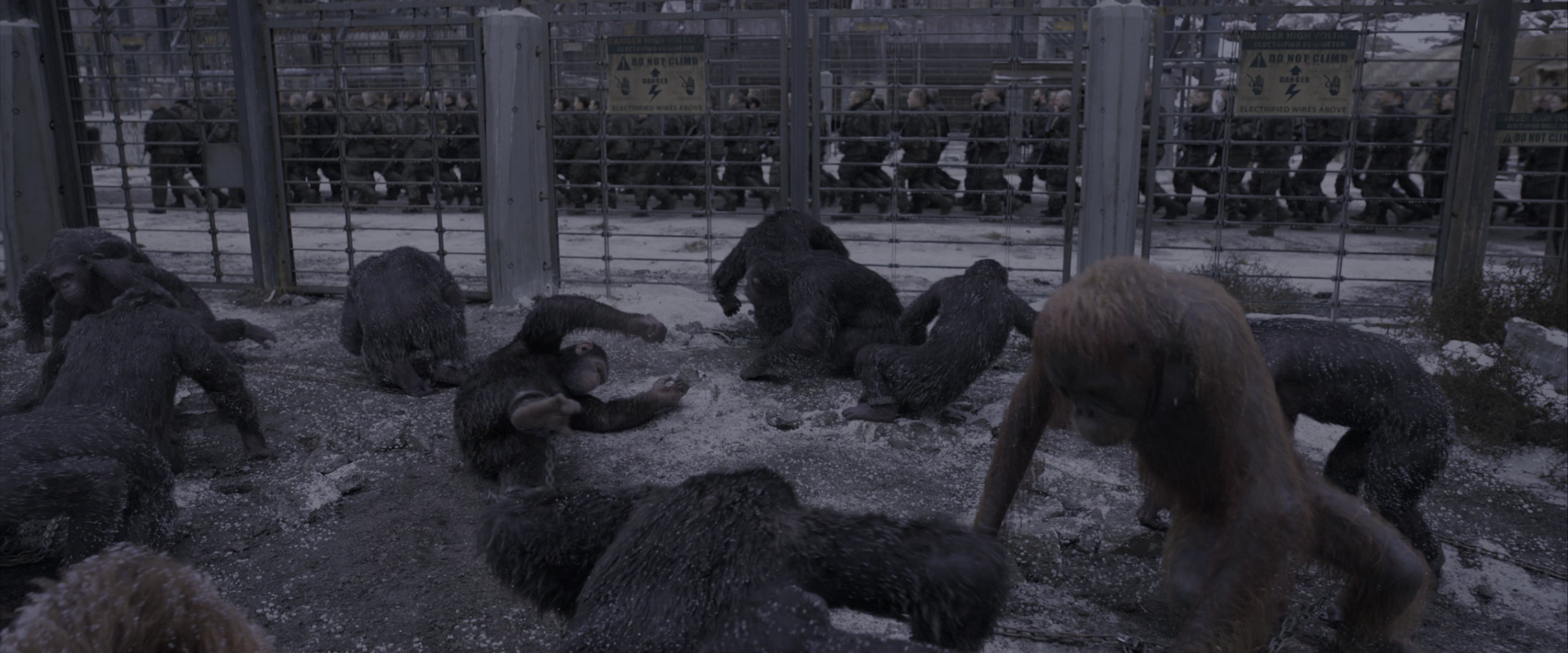 War for the Planet of the Apes (2017), wide, 2.40:1 — film still