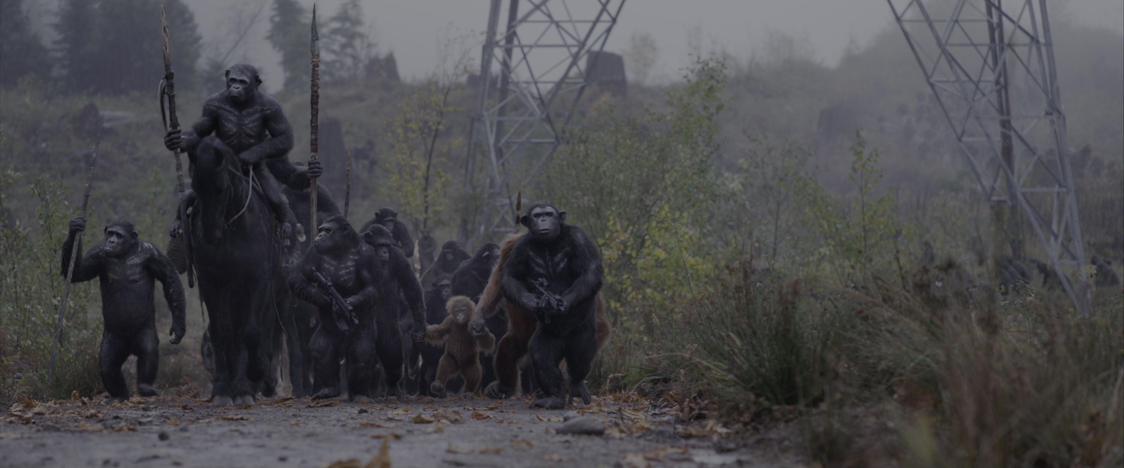 War for the Planet of the Apes (2017), wide, 2.40:1 — film still