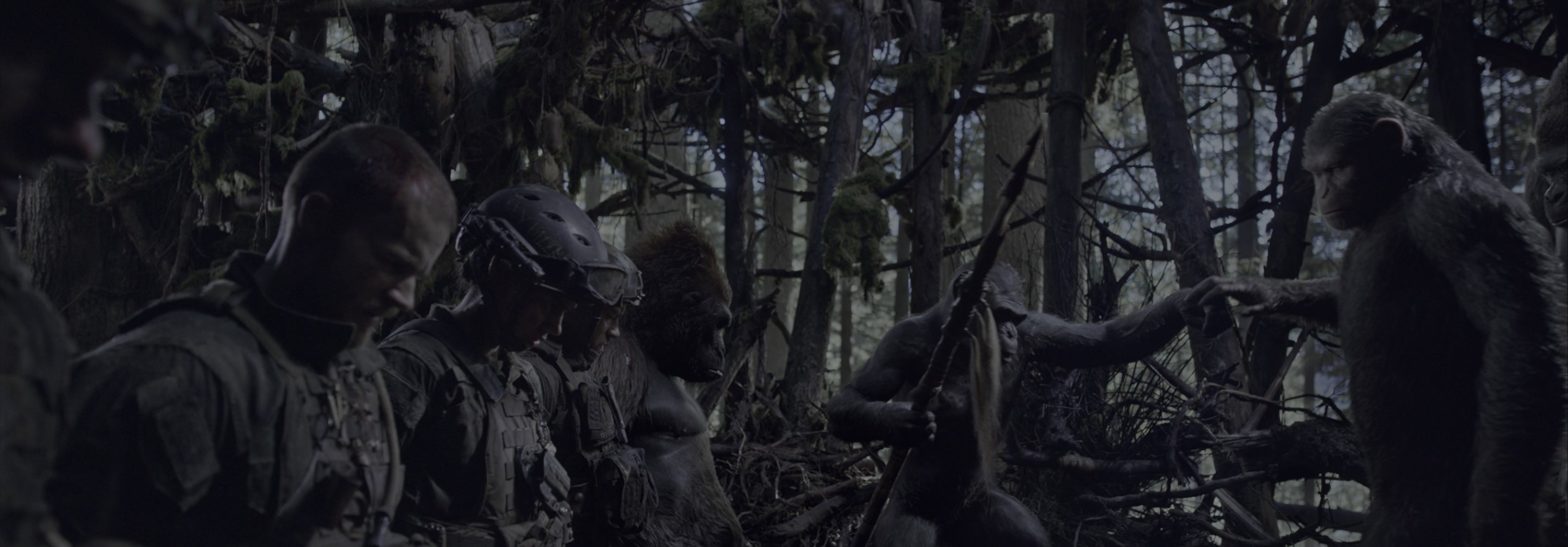 War for the Planet of the Apes (2017), wide, 2.87:1 — film still