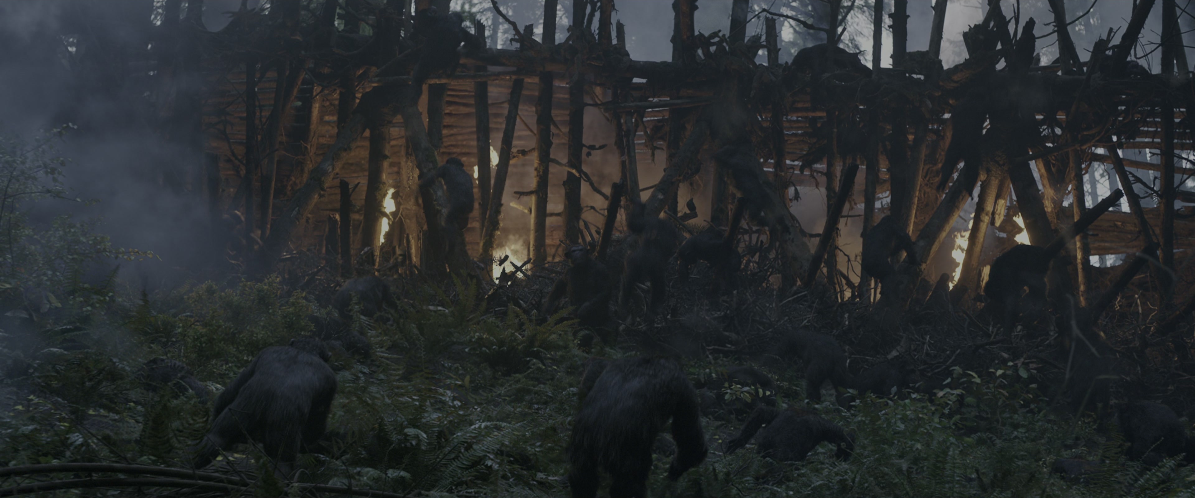 War for the Planet of the Apes (2017), wide, 2.40:1 — film still