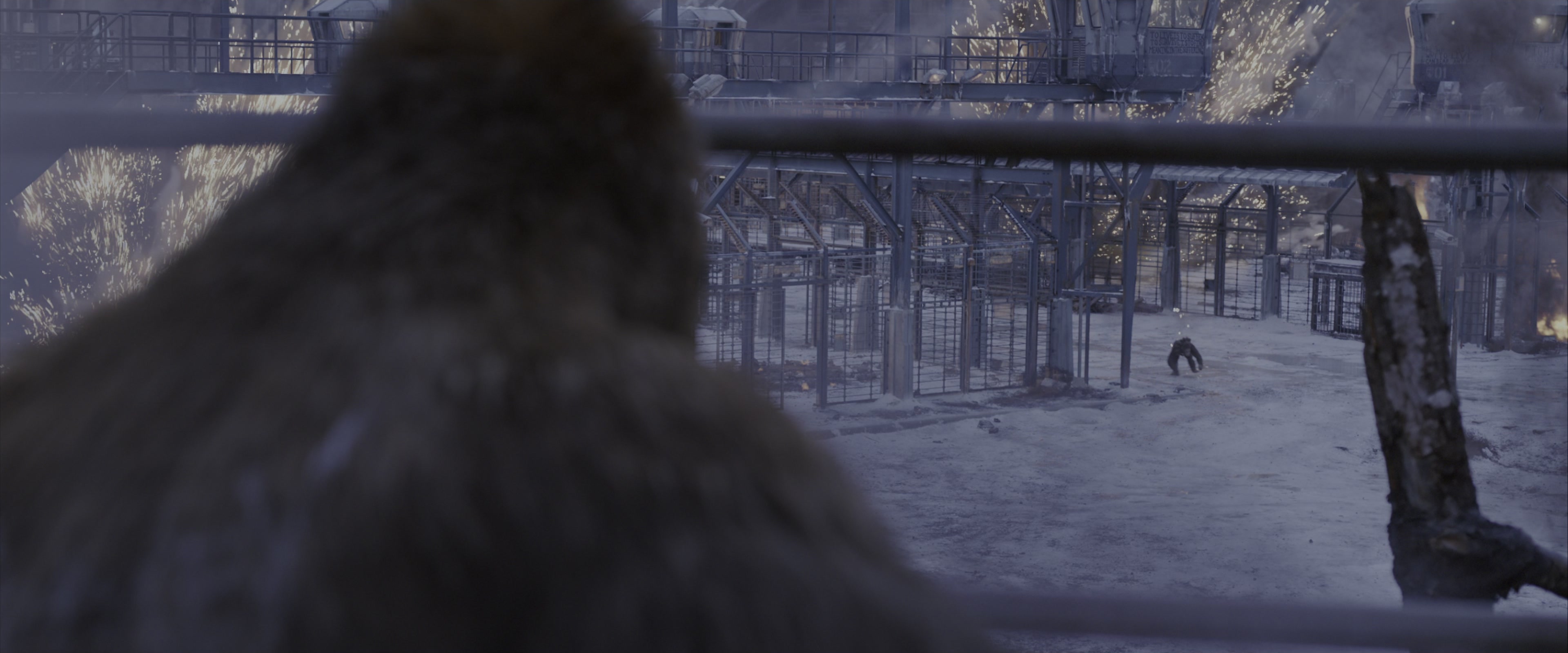 War for the Planet of the Apes (2017), wide, 2.40:1 — film still