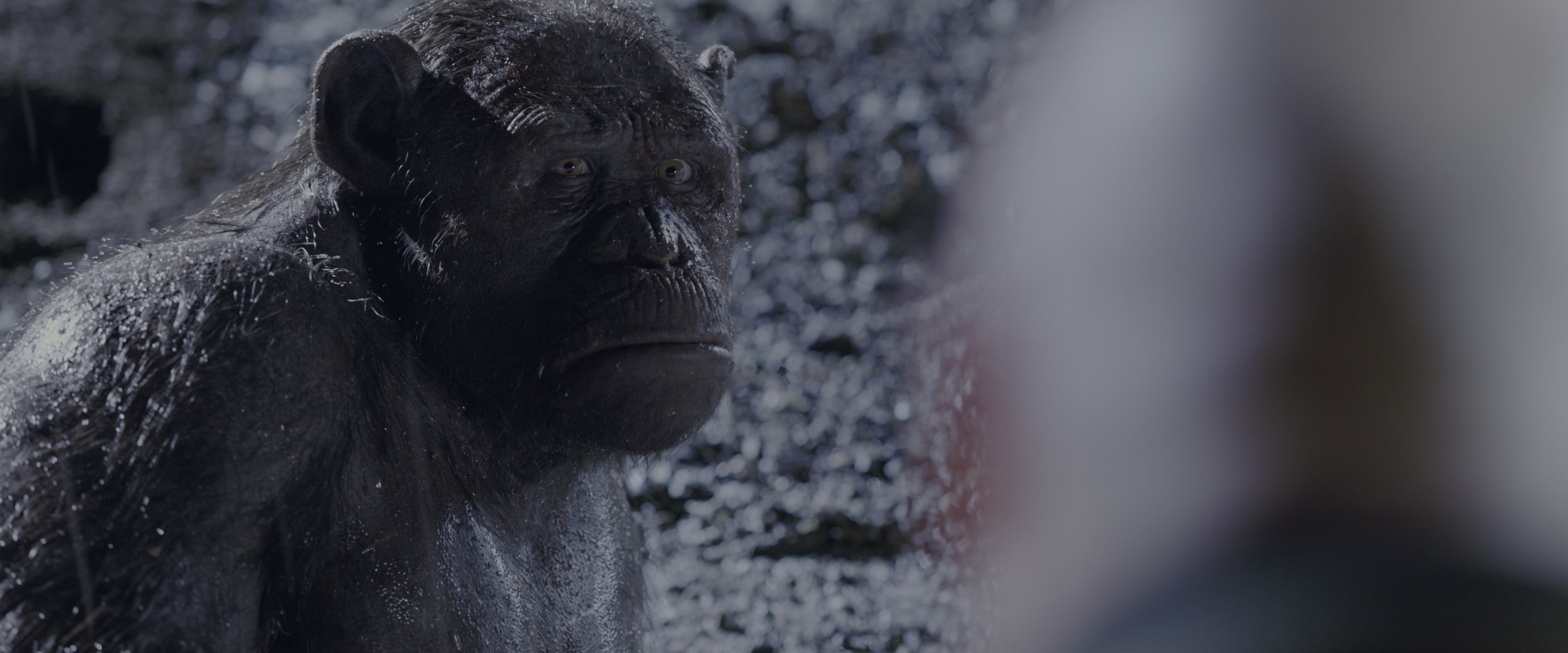 War for the Planet of the Apes (2017), wide, 2.40:1 — film still