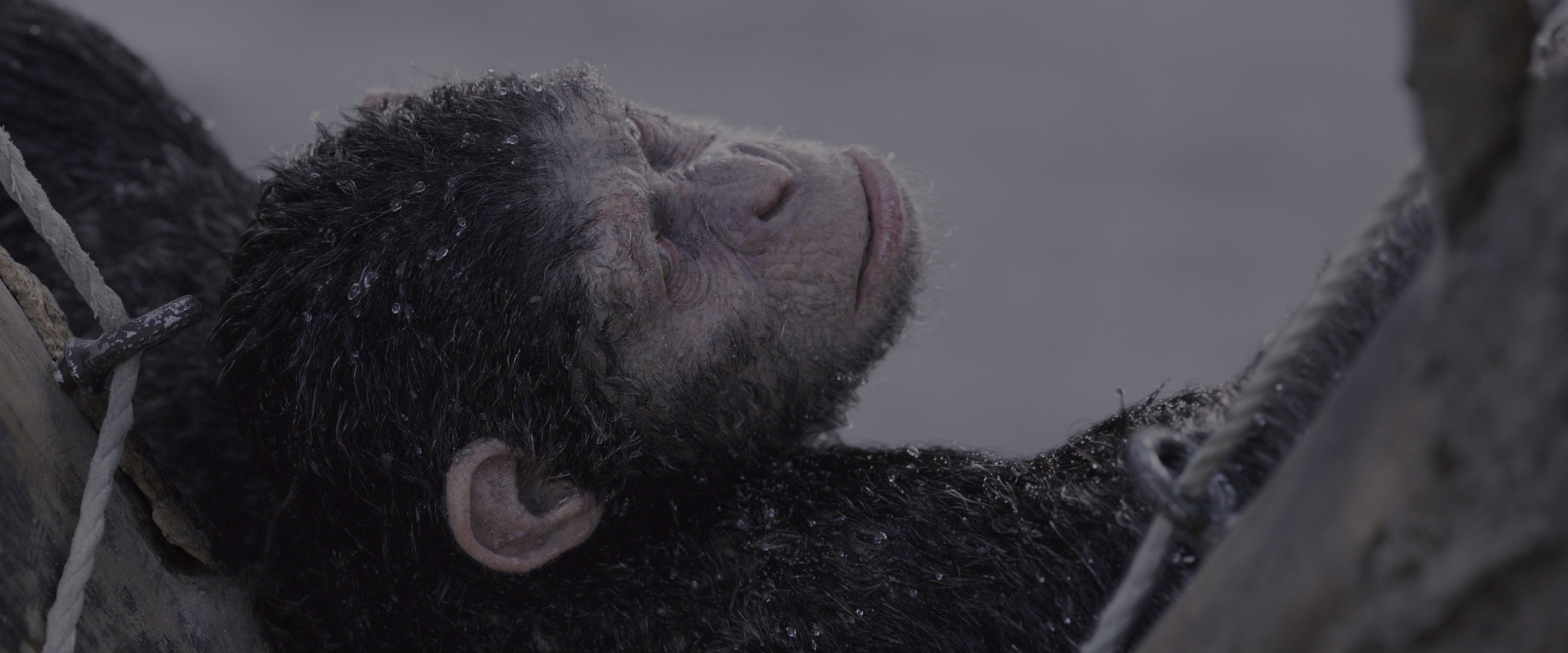 War for the Planet of the Apes (2017), wide, 2.40:1 — film still