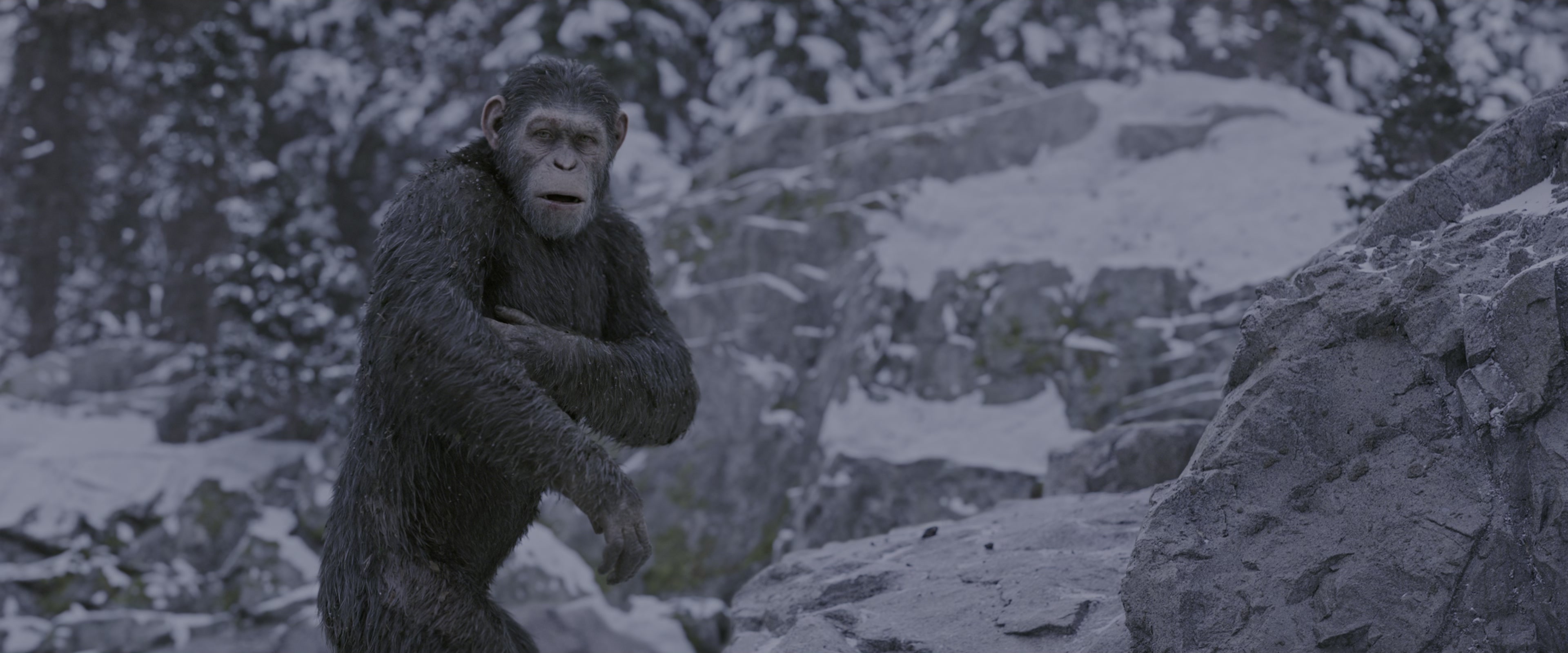 War for the Planet of the Apes (2017), wide, 2.40:1 — film still