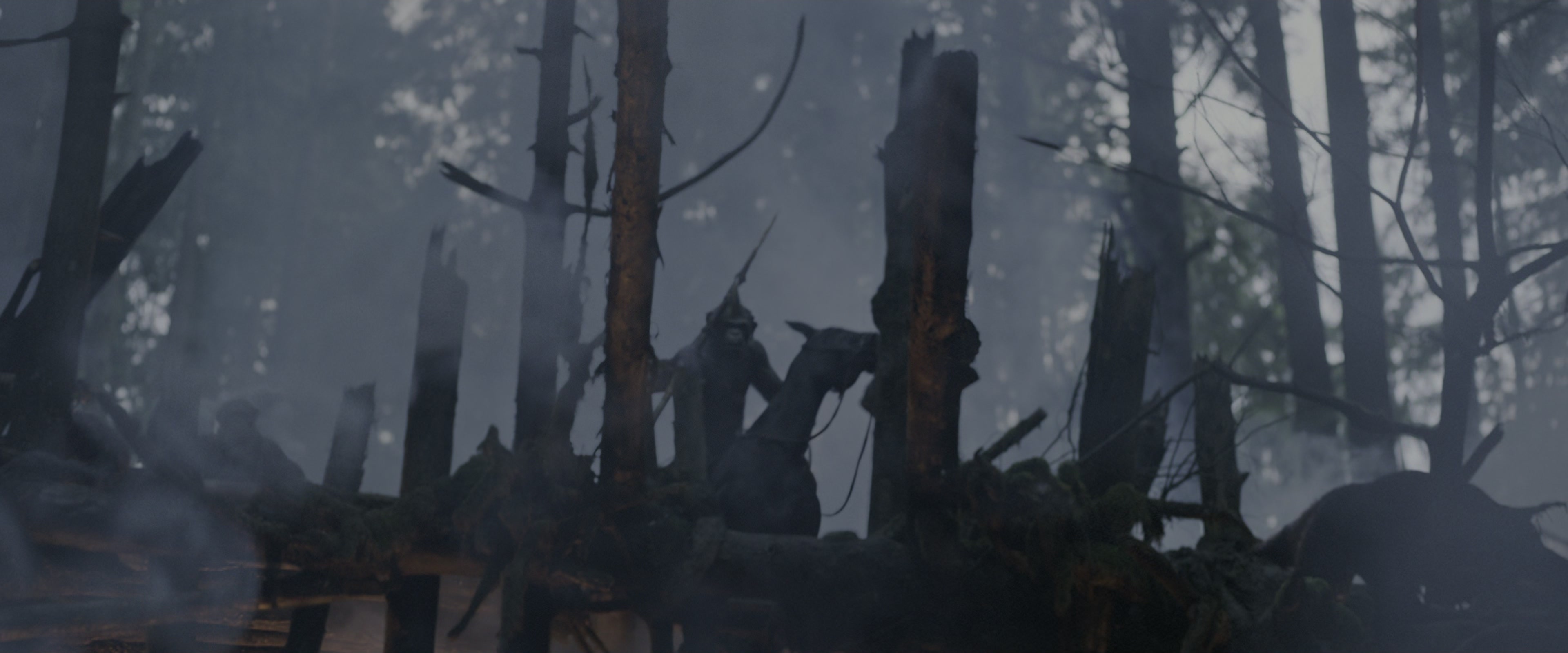 War for the Planet of the Apes (2017), wide, 2.40:1 — film still