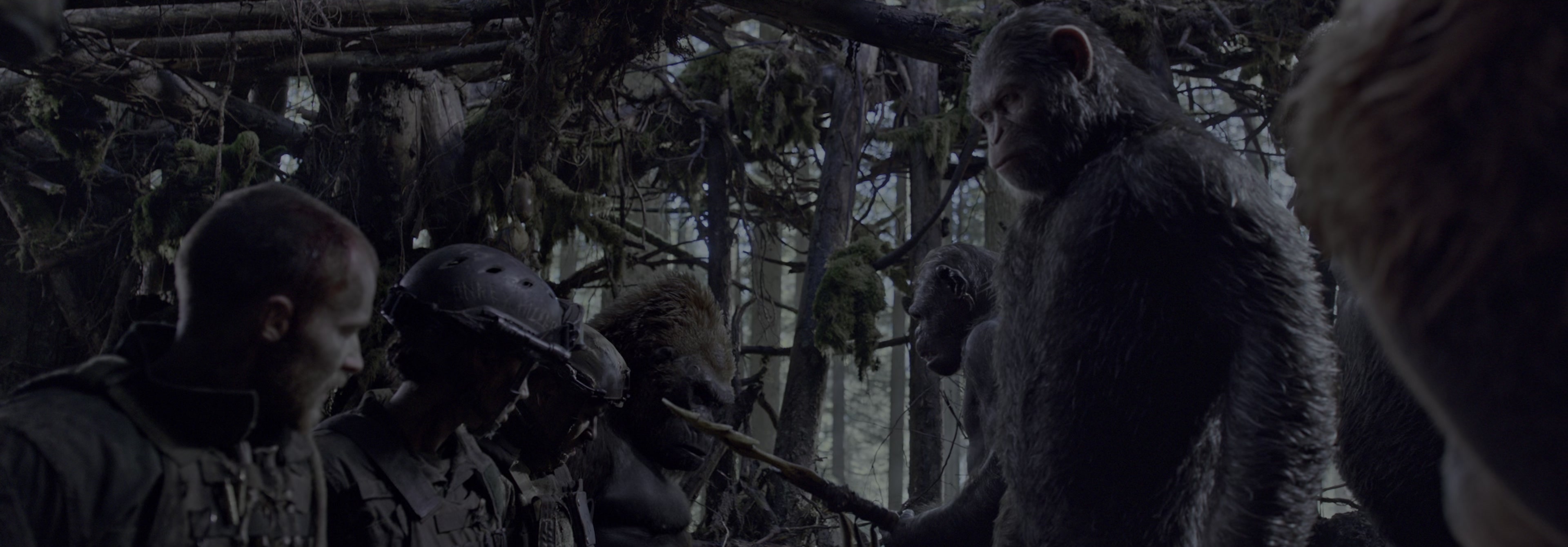 War for the Planet of the Apes (2017), wide, 2.87:1 — film still