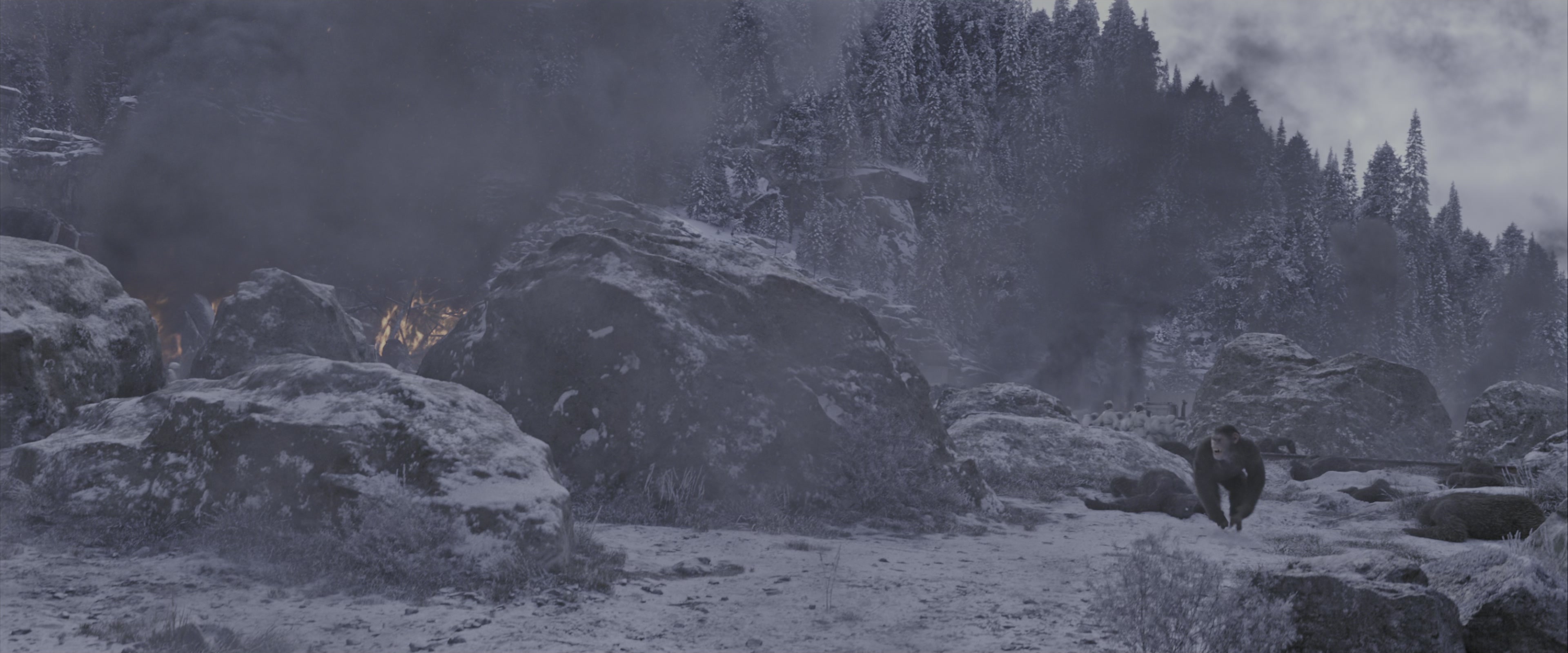 War for the Planet of the Apes (2017), wide, 2.40:1 — film still