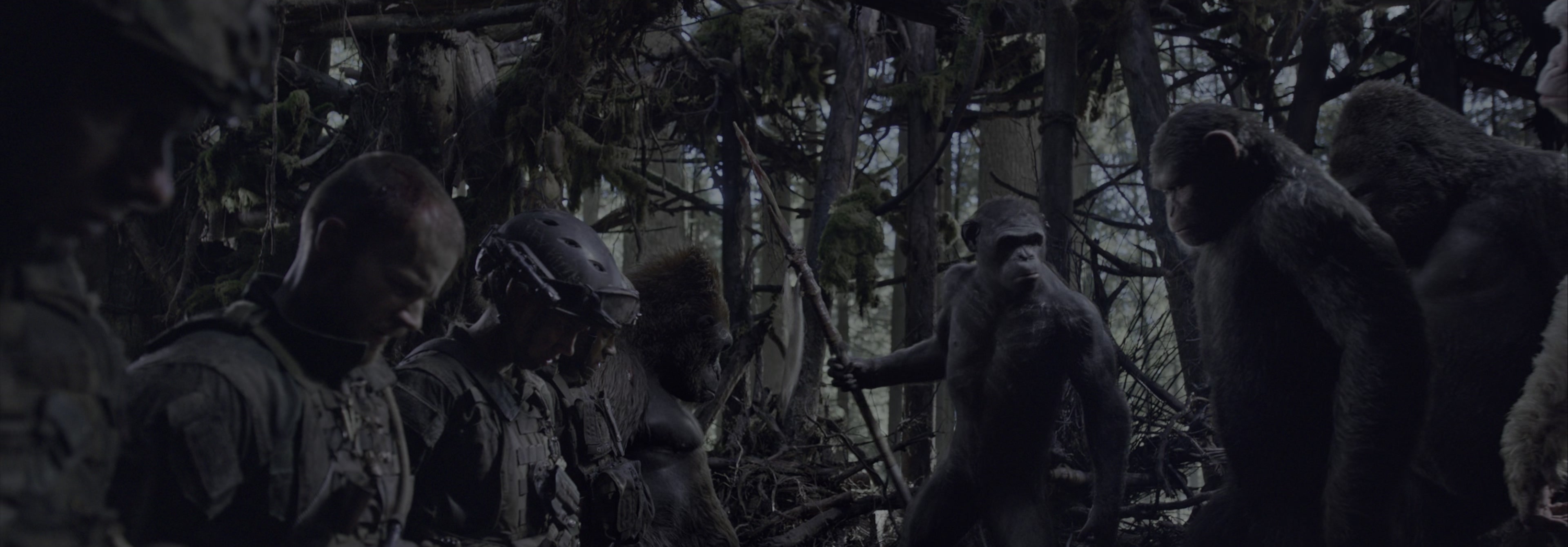 War for the Planet of the Apes (2017), wide, 2.87:1 — film still