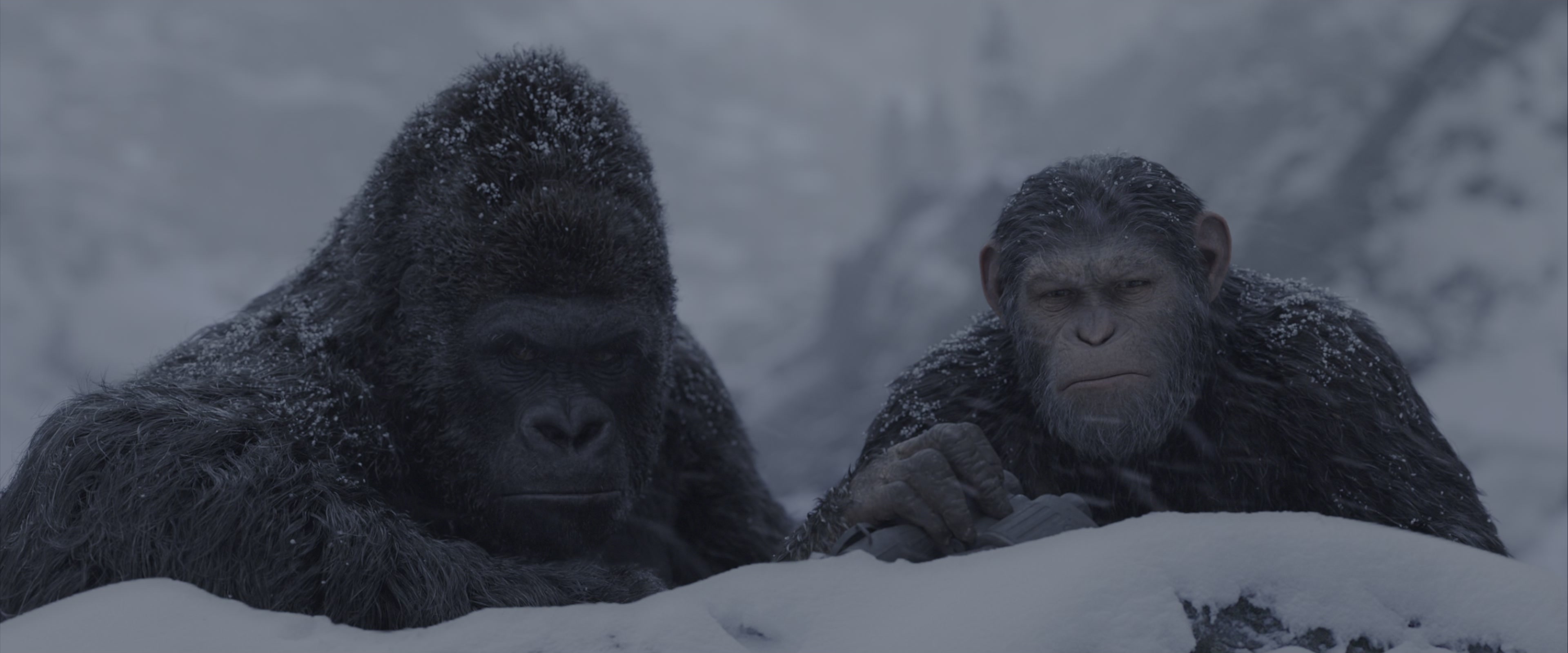 War for the Planet of the Apes (2017), wide, 2.40:1 — film still