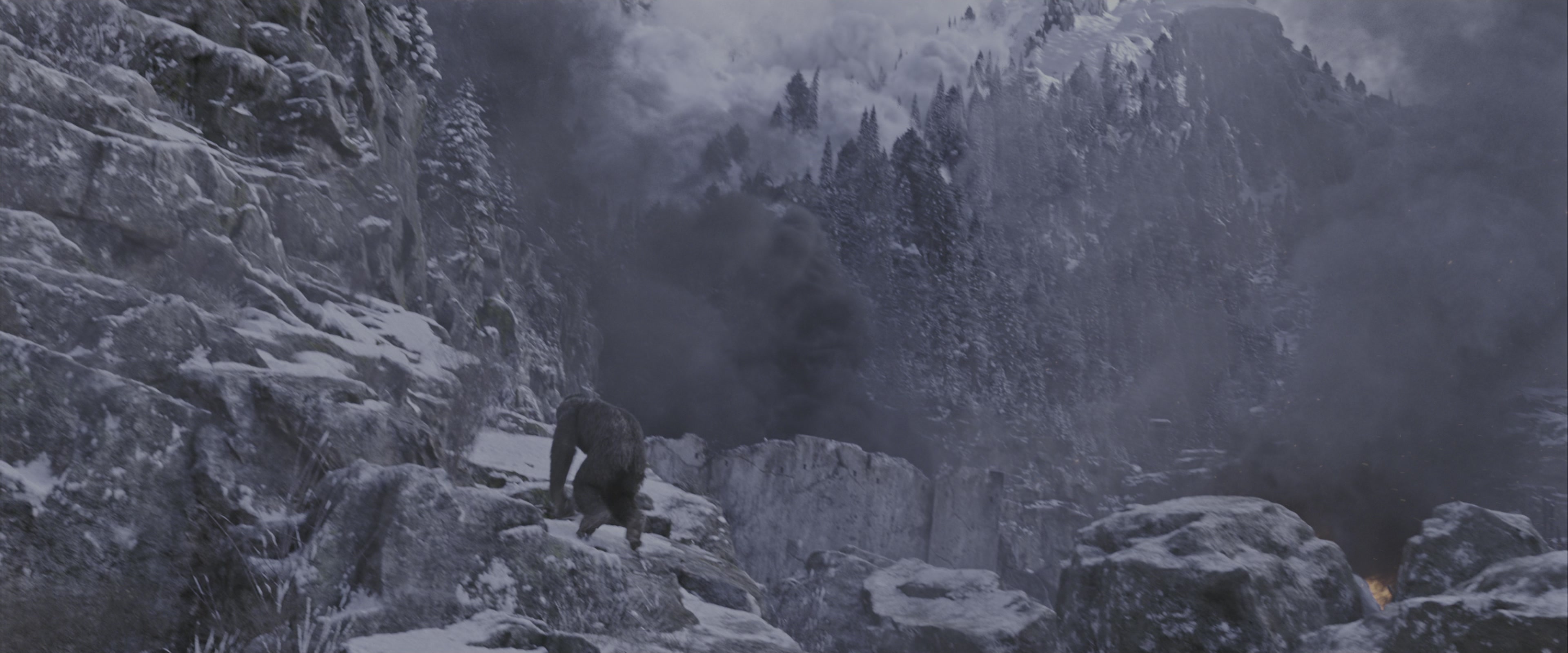War for the Planet of the Apes (2017), wide, 2.40:1 — film still