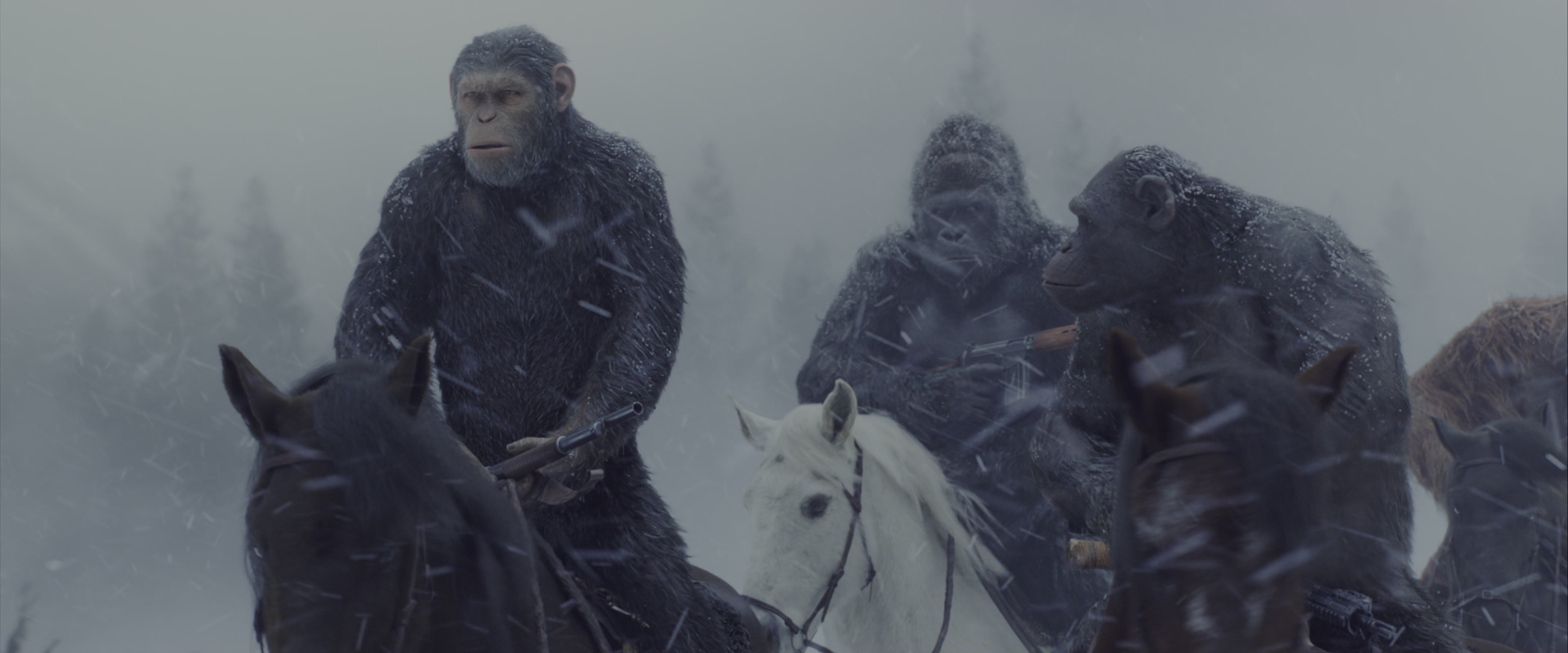 War for the Planet of the Apes (2017), medium, 2.40:1 — film still