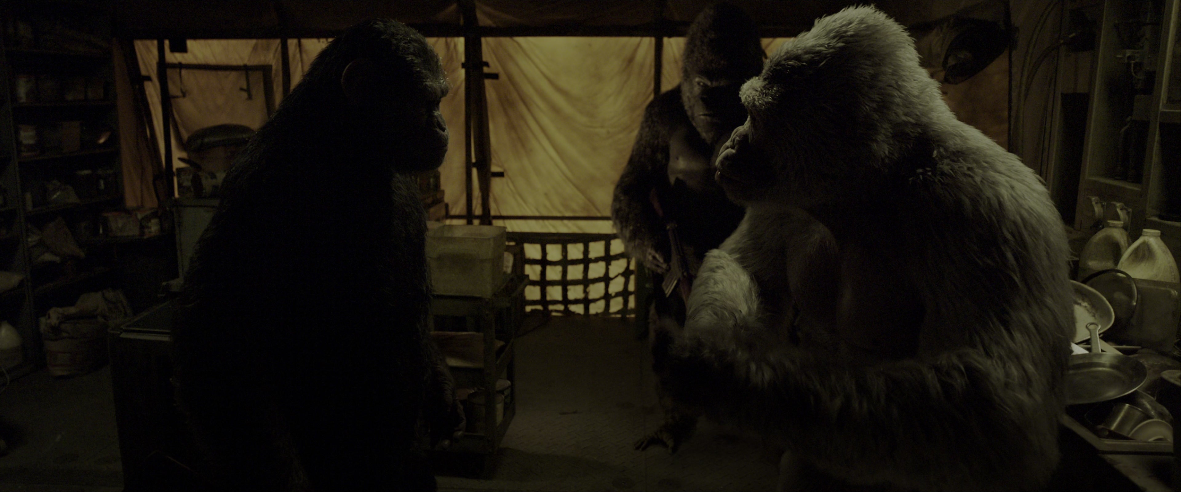 War for the Planet of the Apes (2017), wide, 2.40:1 — film still