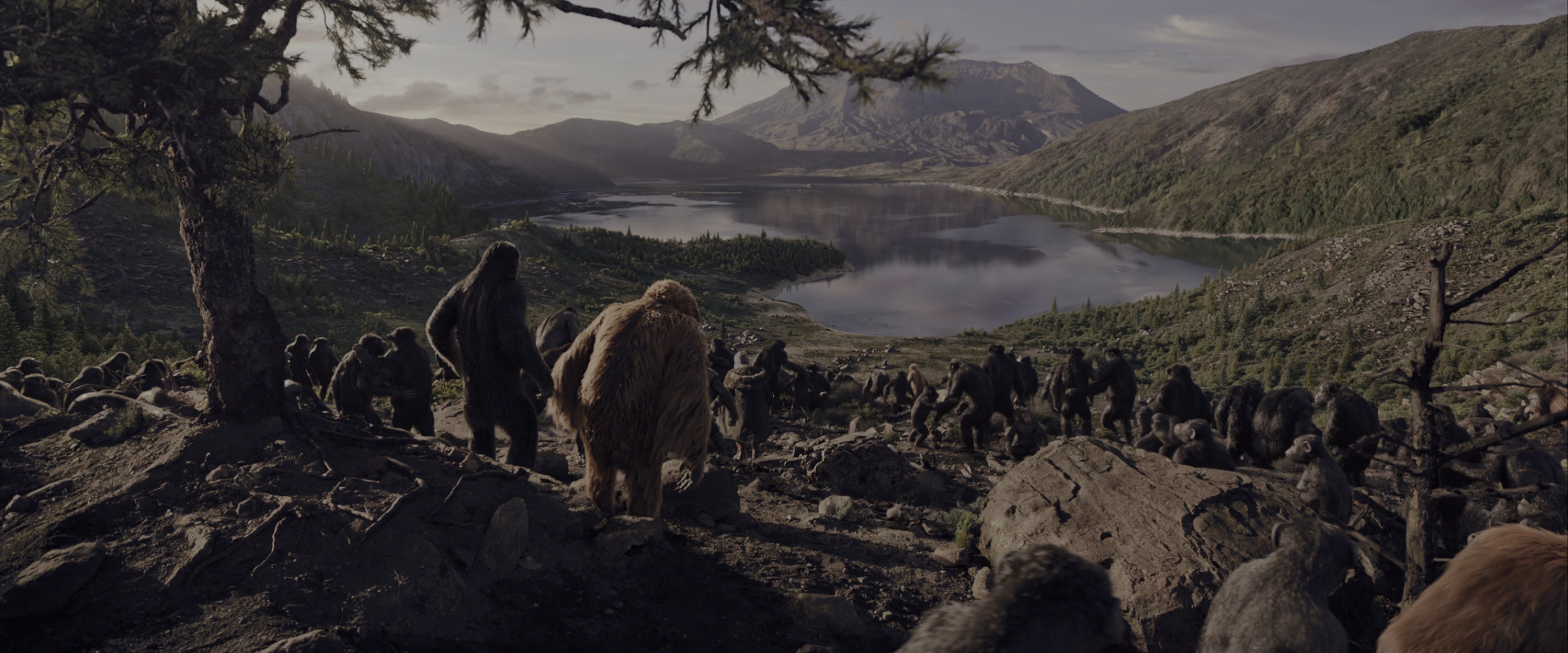 War for the Planet of the Apes (2017), wide, 2.40:1 — film still