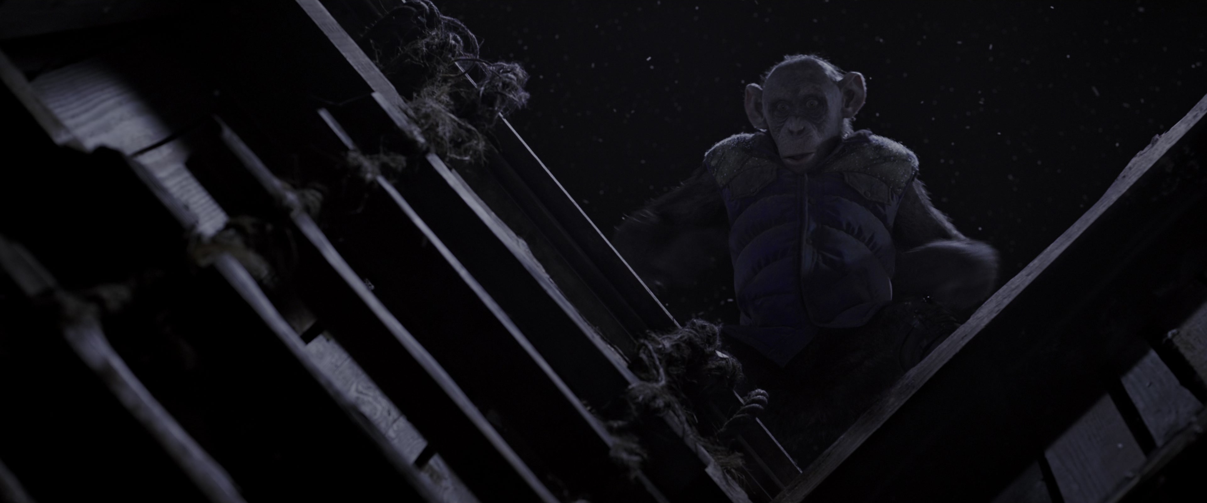 War for the Planet of the Apes (2017), wide, 2.40:1 — film still