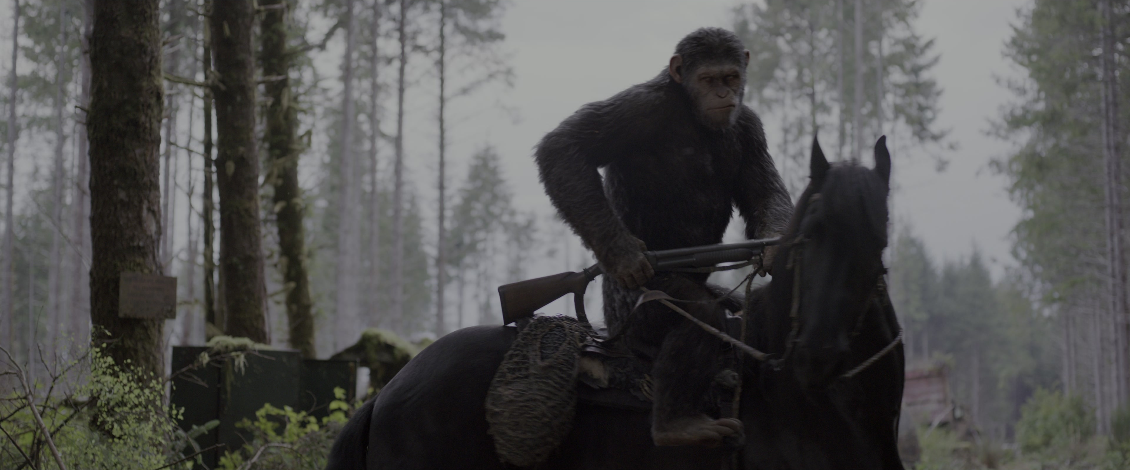 War for the Planet of the Apes (2017), wide, 2.40:1 — film still
