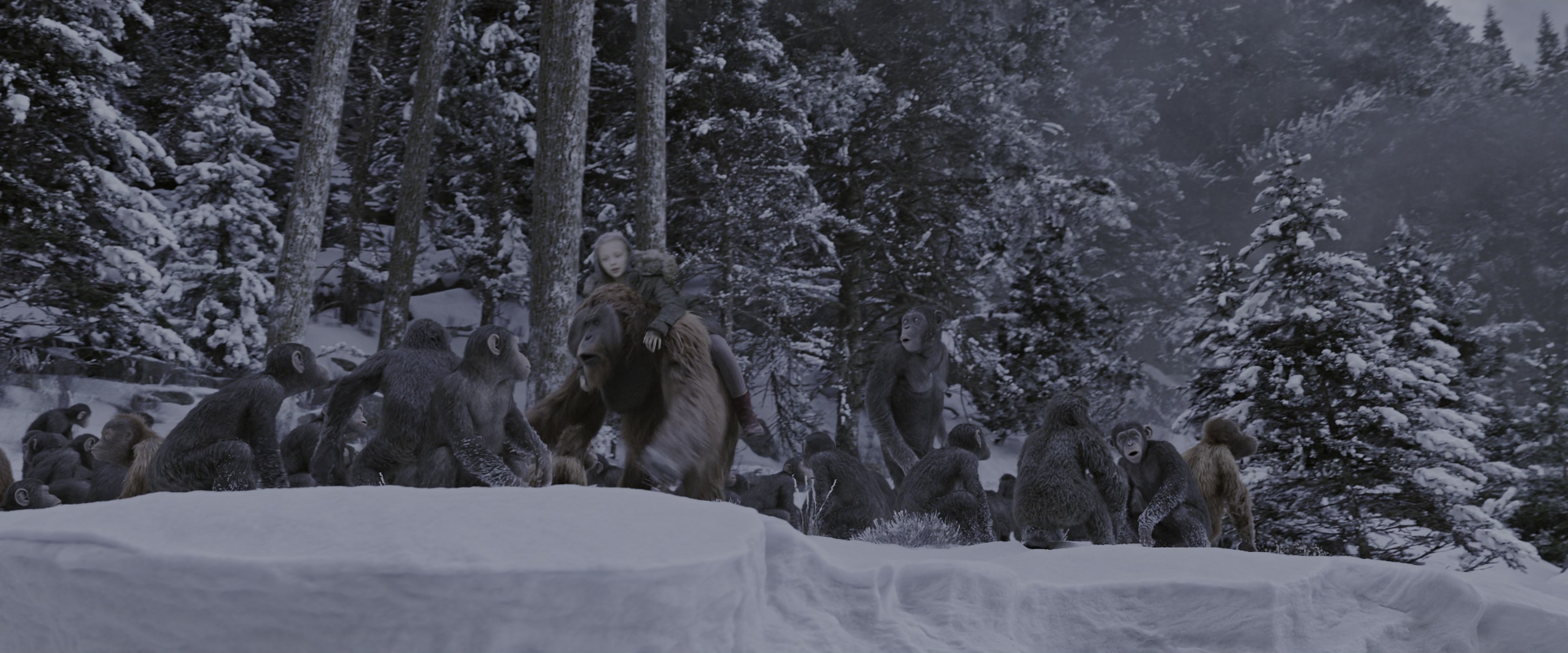 War for the Planet of the Apes (2017), wide, 2.40:1 — film still