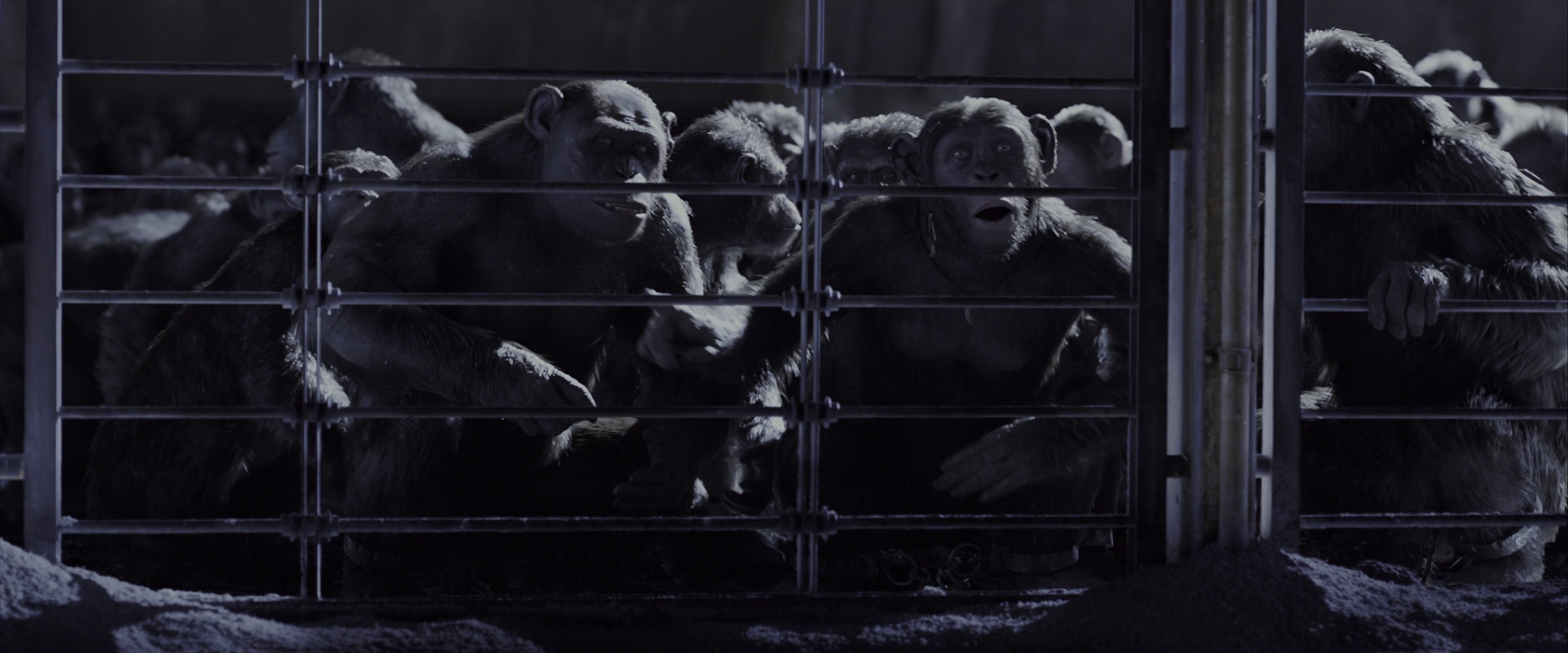 War for the Planet of the Apes (2017), wide, 2.40:1 — film still