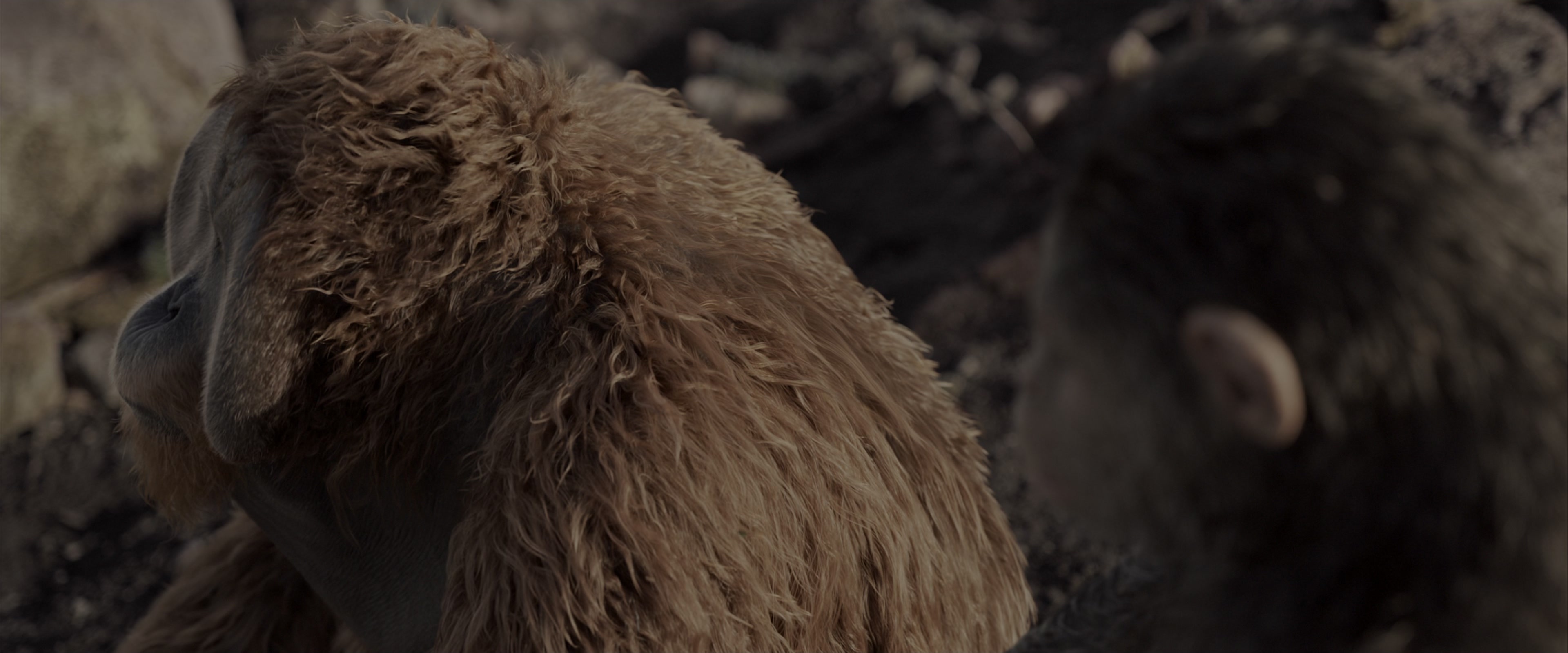 War for the Planet of the Apes (2017), wide, 2.40:1 — film still