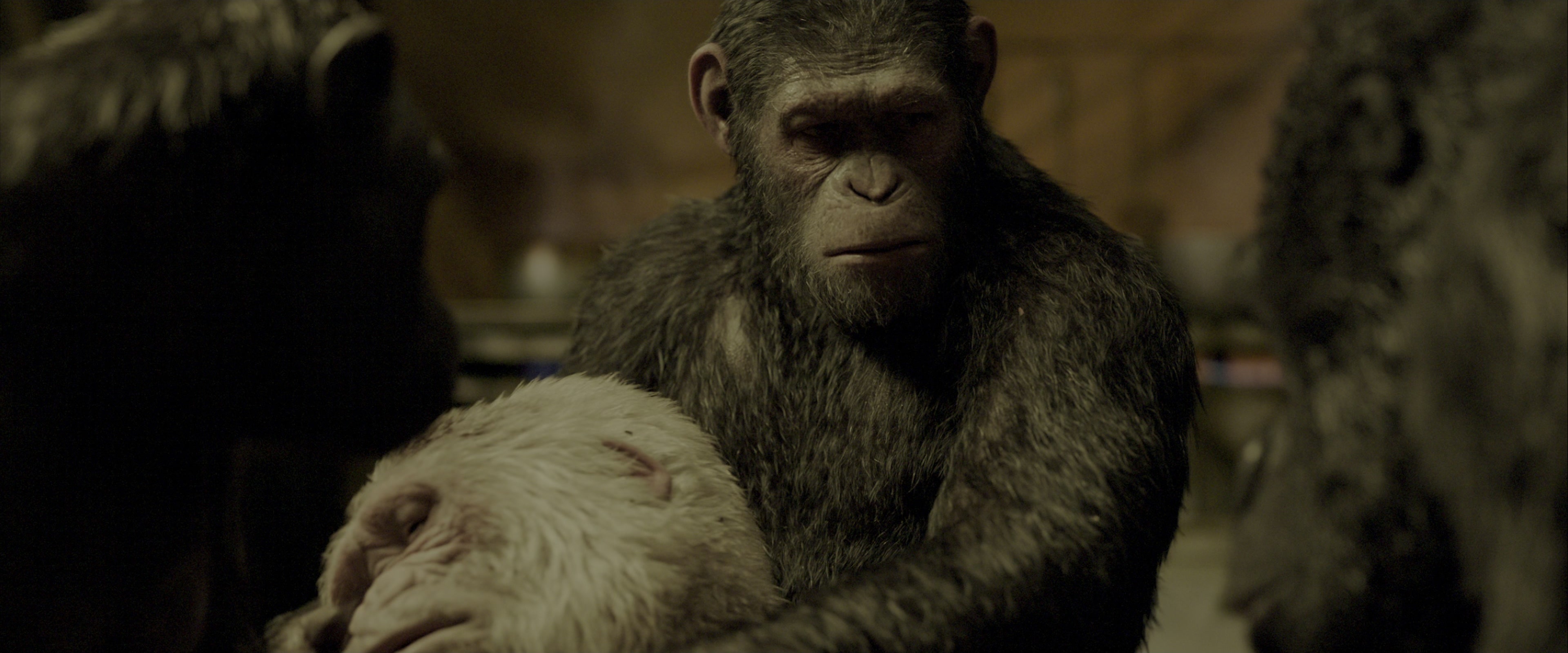 War for the Planet of the Apes (2017), wide, 2.40:1 — film still