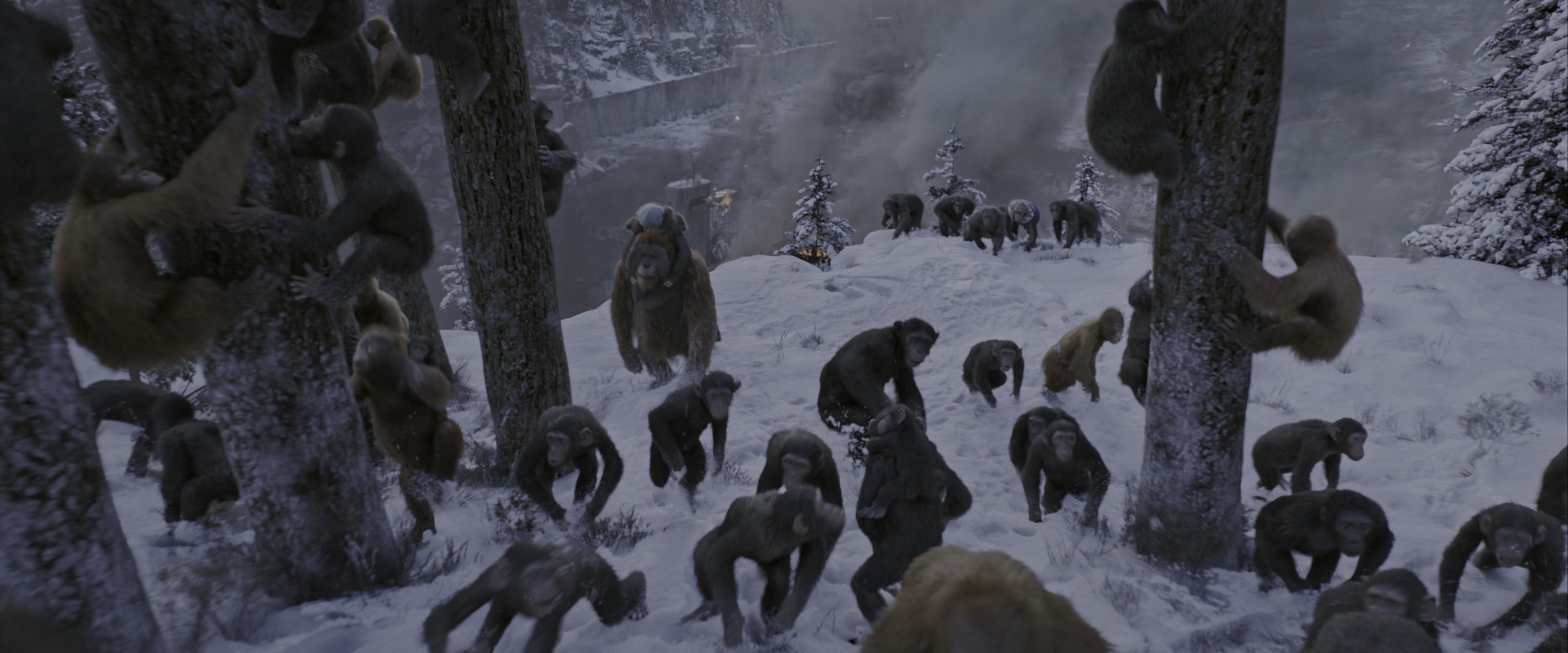 War for the Planet of the Apes (2017), wide, 2.40:1 — film still