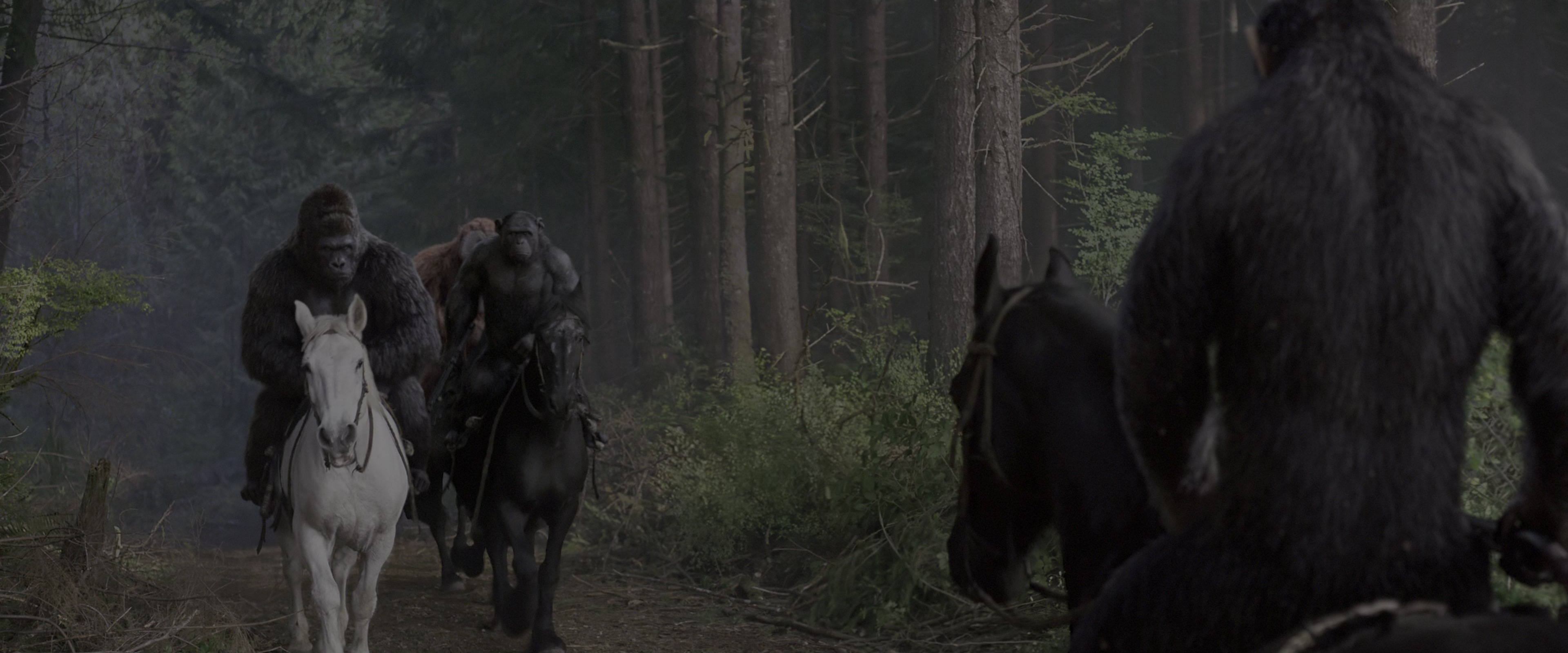 War for the Planet of the Apes (2017), wide, 2.40:1 — film still