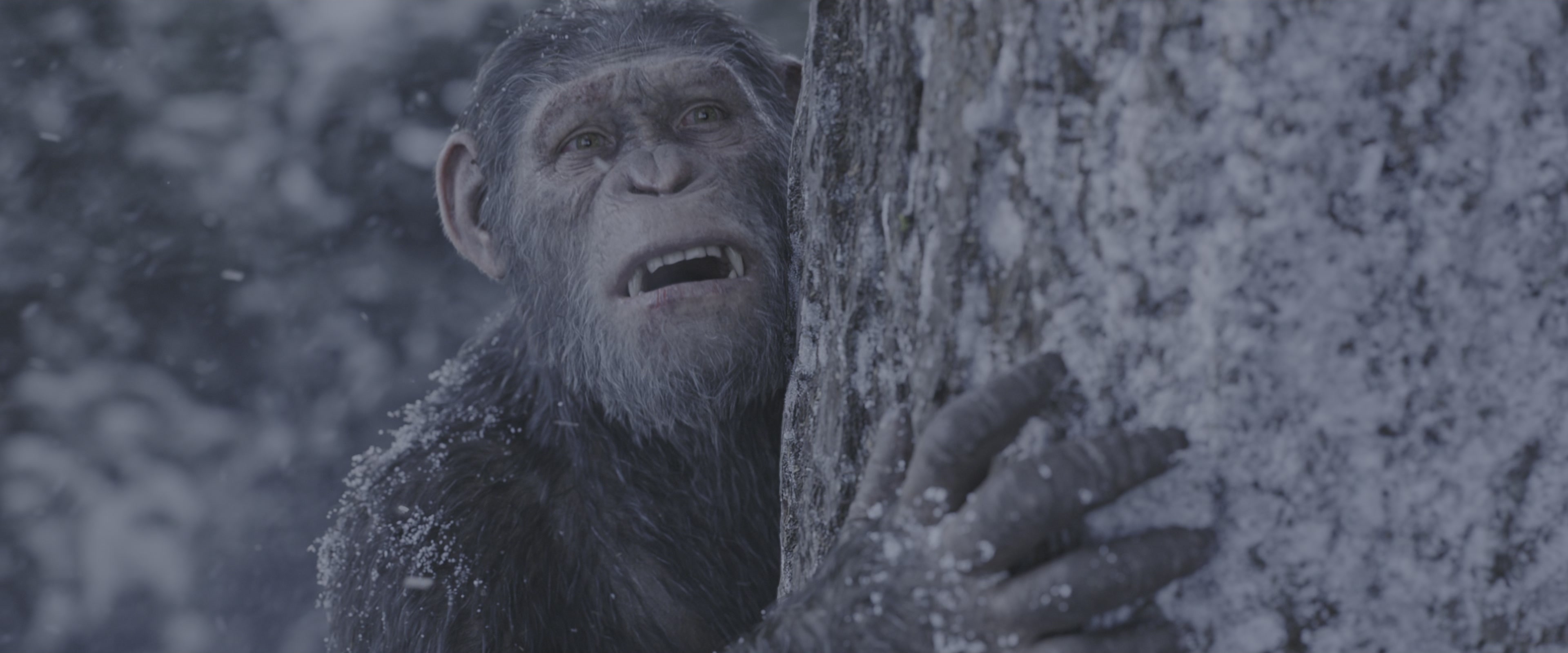 War for the Planet of the Apes (2017), wide, 2.40:1 — film still