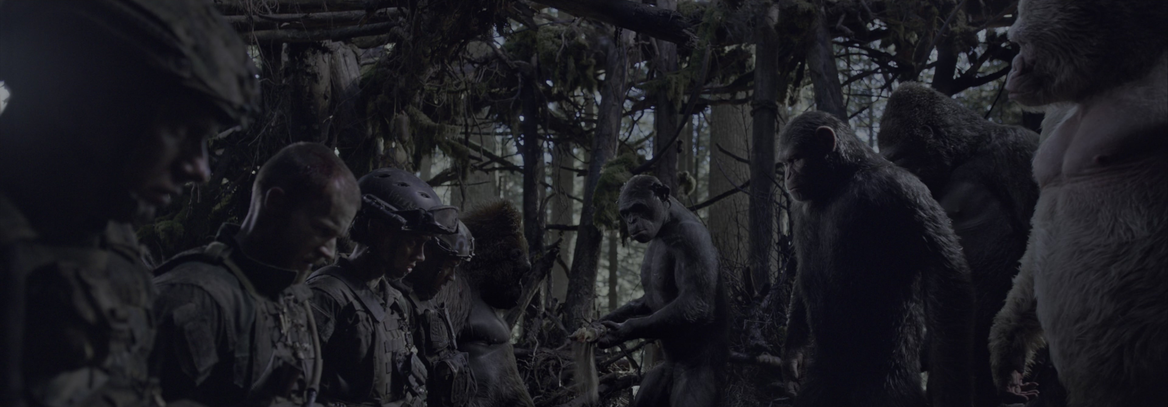 War for the Planet of the Apes (2017), wide, 2.87:1 — film still