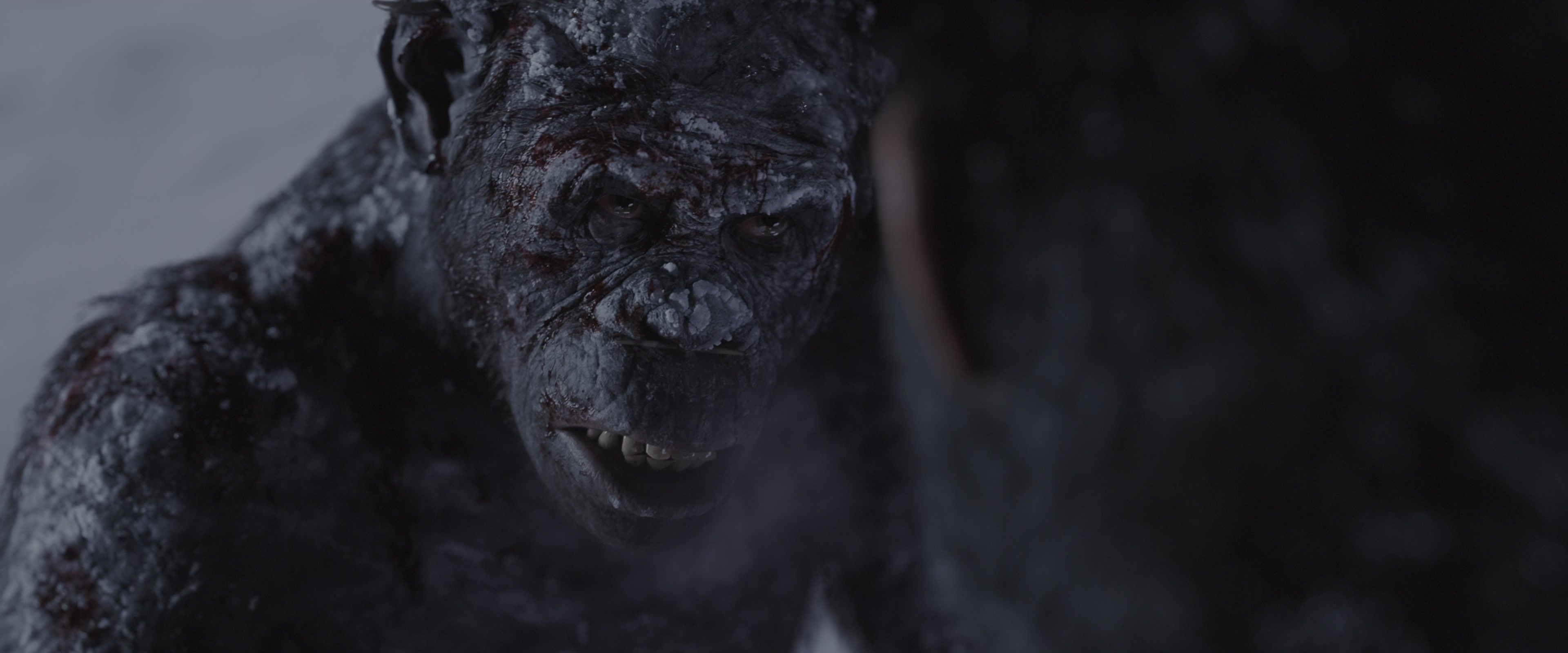 War for the Planet of the Apes (2017), wide, 2.40:1 — film still