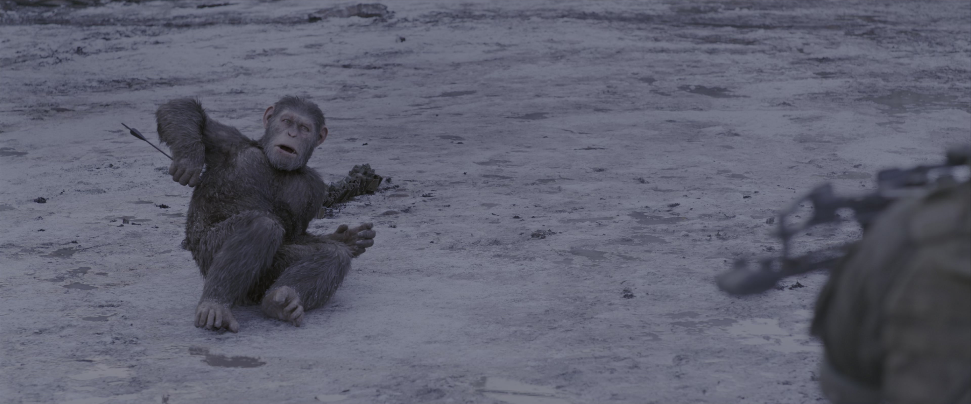 War for the Planet of the Apes (2017), wide, 2.40:1 — film still