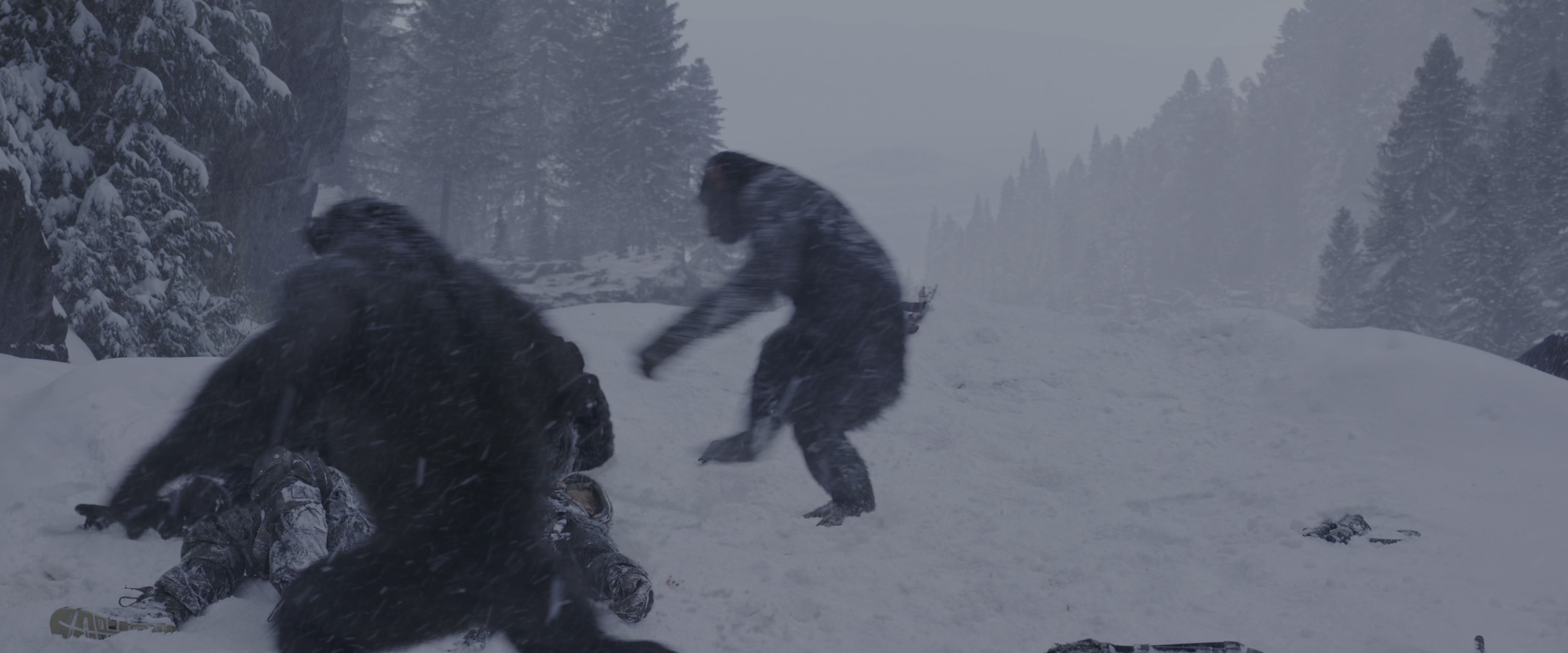 War for the Planet of the Apes (2017), wide, 2.40:1 — film still