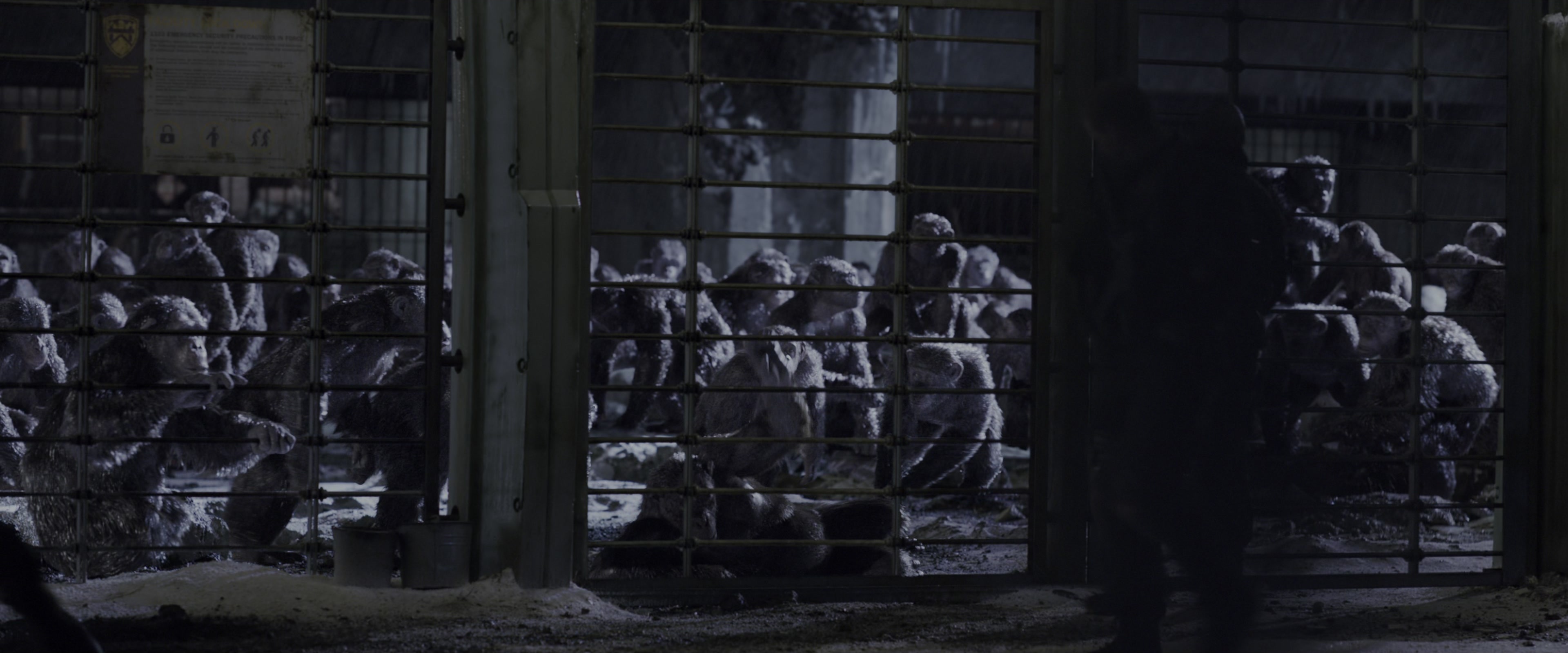 War for the Planet of the Apes (2017), wide, 2.40:1 — film still