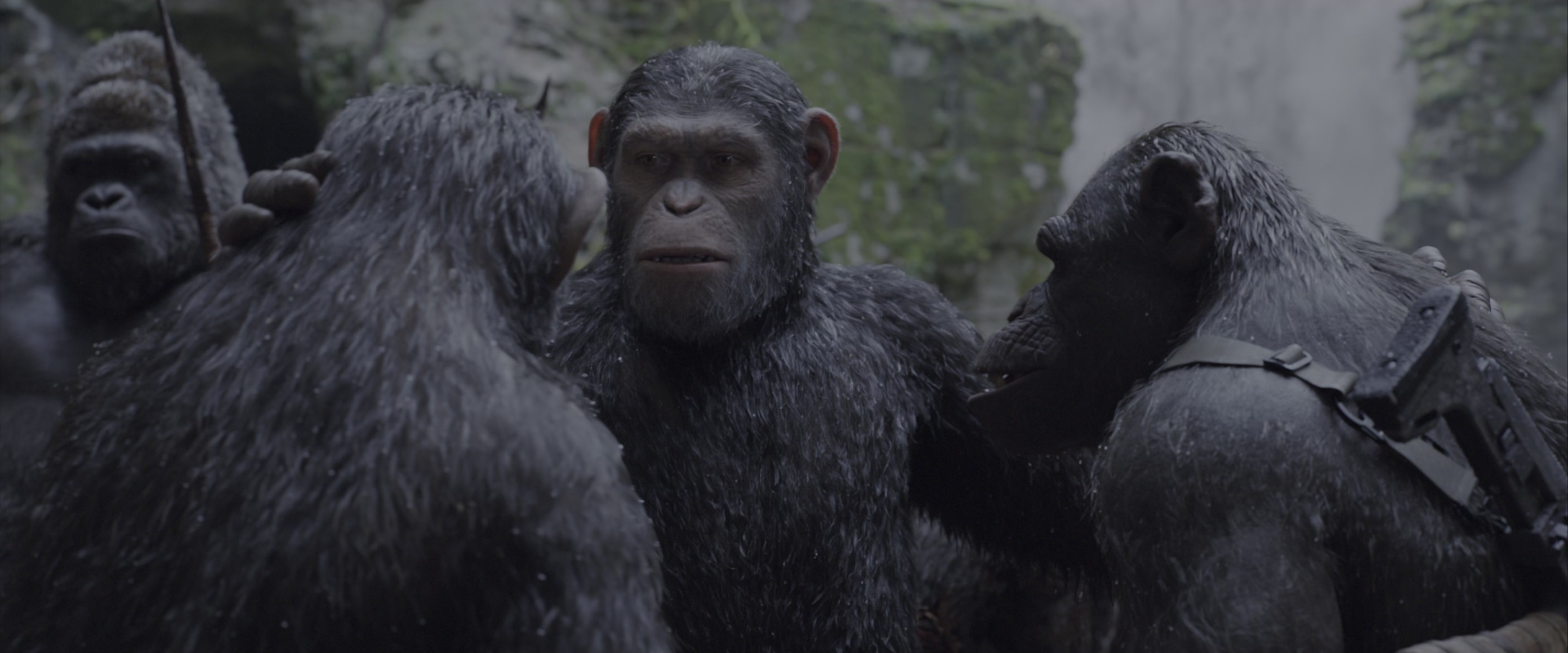 War for the Planet of the Apes (2017), wide, 2.40:1 — film still
