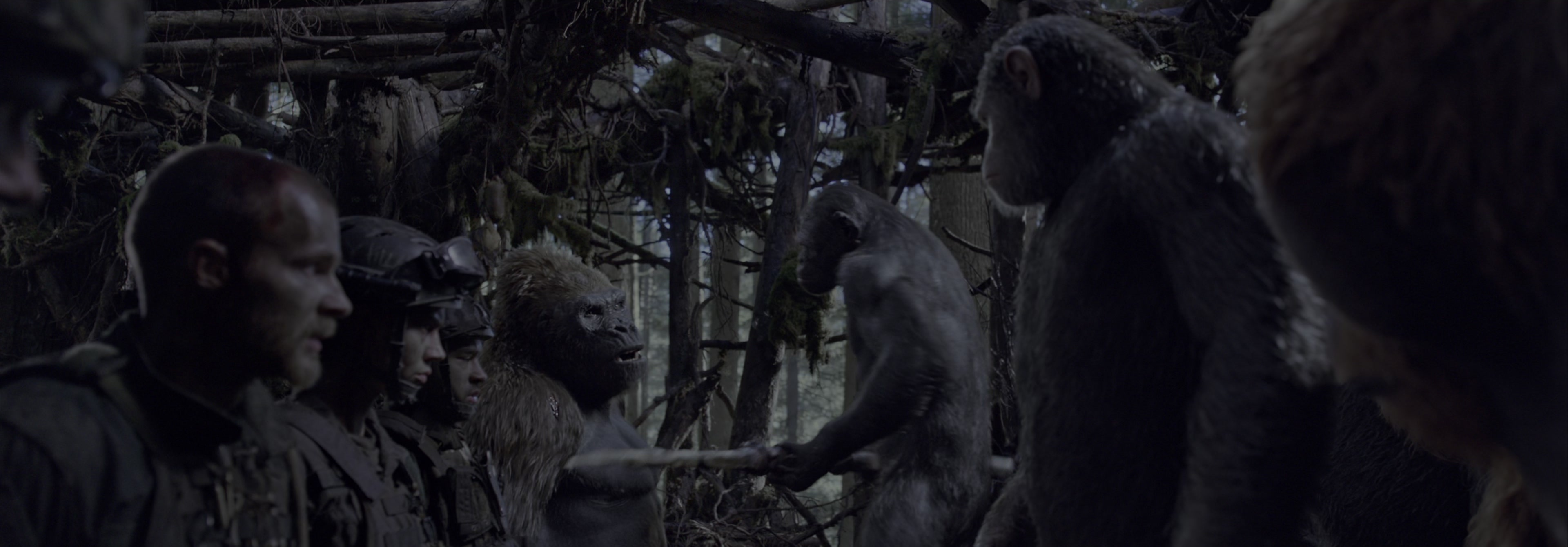 War for the Planet of the Apes (2017), wide, 2.87:1 — film still