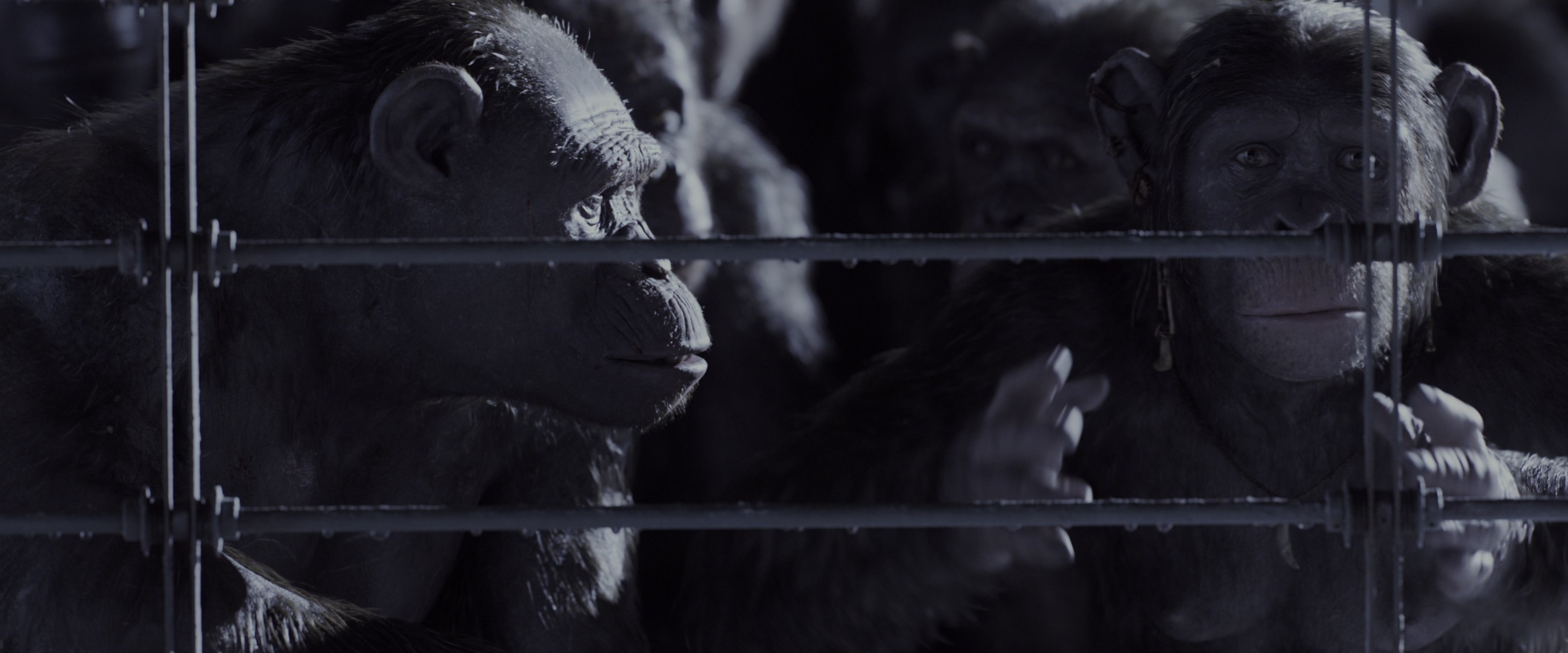War for the Planet of the Apes (2017), wide, 2.40:1 — film still