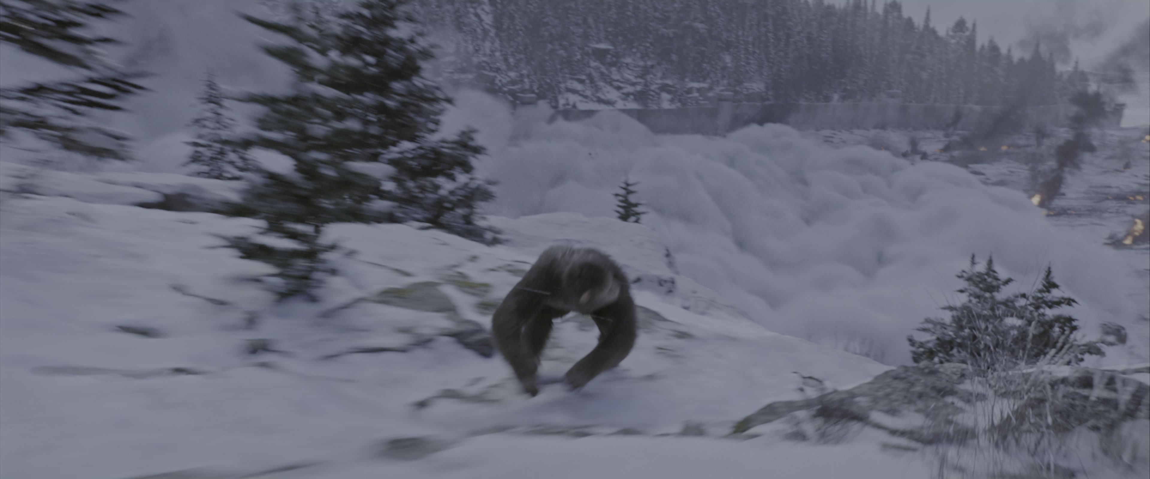 War for the Planet of the Apes (2017), wide, 2.40:1 — film still