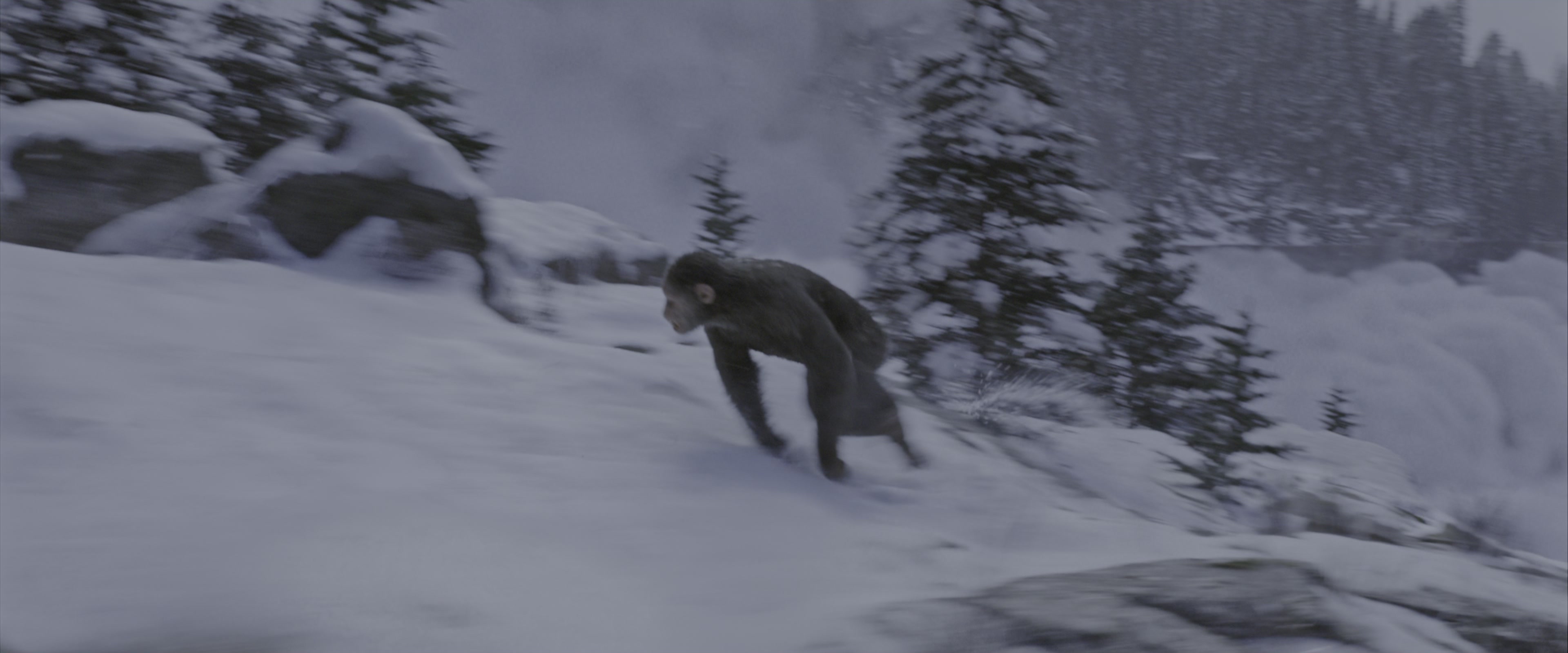 War for the Planet of the Apes (2017), unknown, 2.40:1 — film still