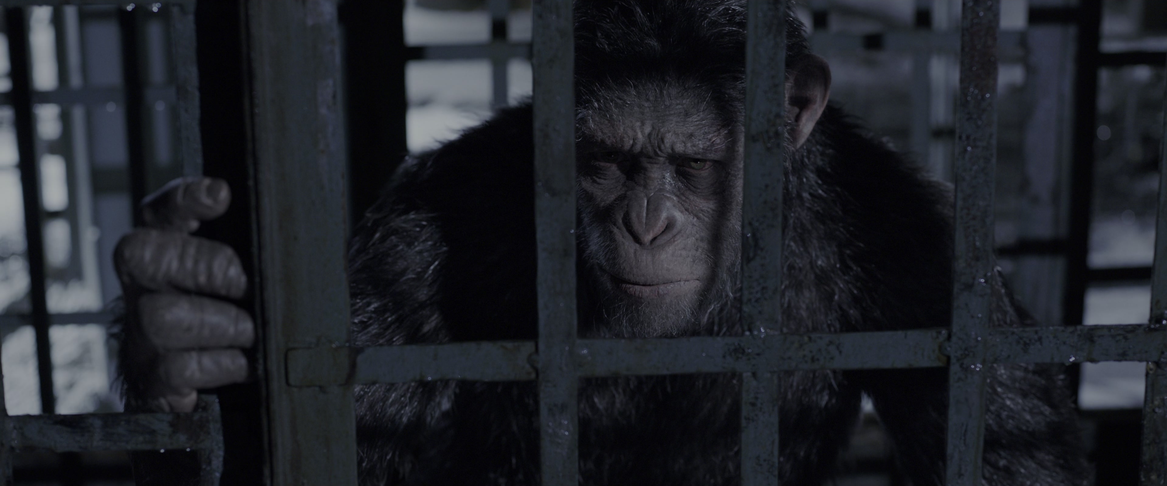 War for the Planet of the Apes (2017), medium, 2.40:1 — film still
