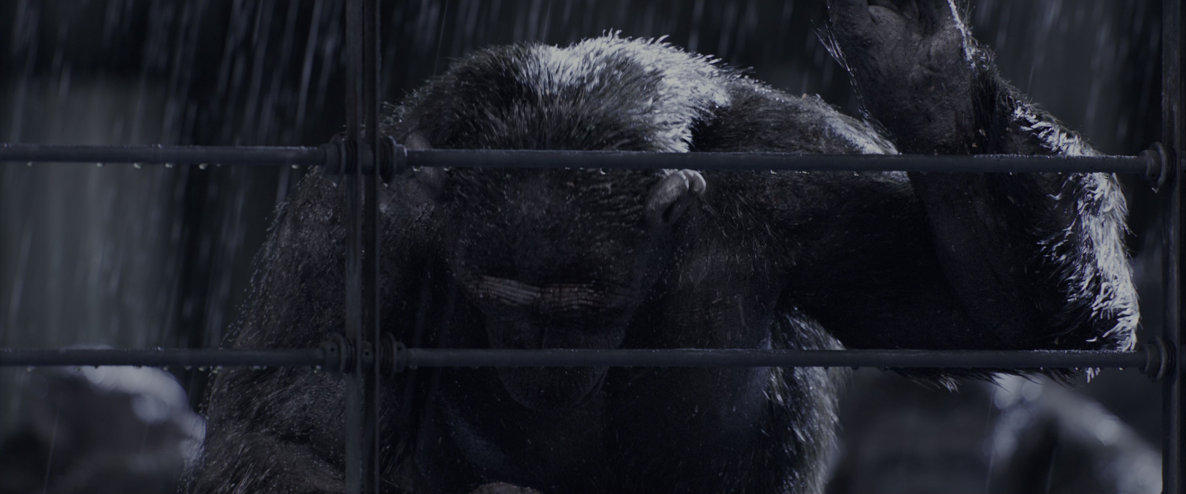 War for the Planet of the Apes (2017), wide, 2.40:1 — film still