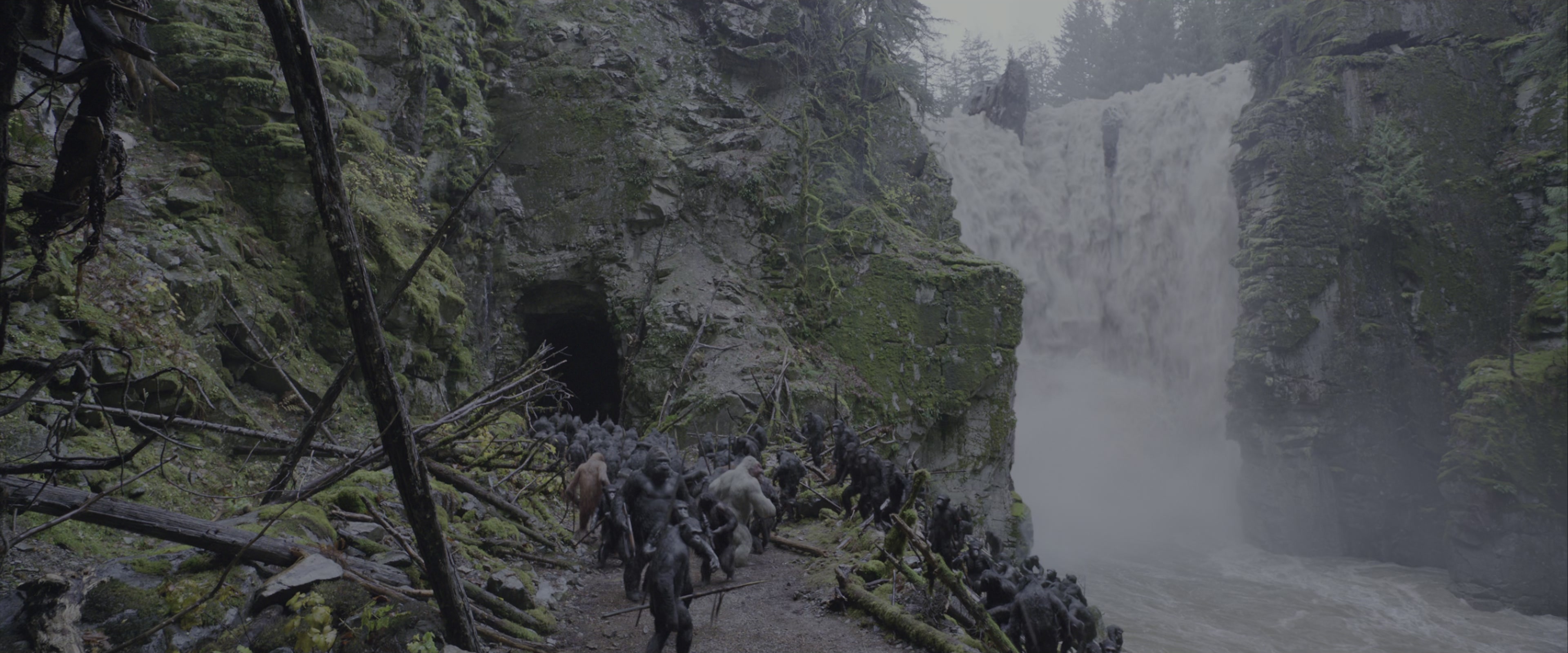 War for the Planet of the Apes (2017), wide, 2.40:1 — film still