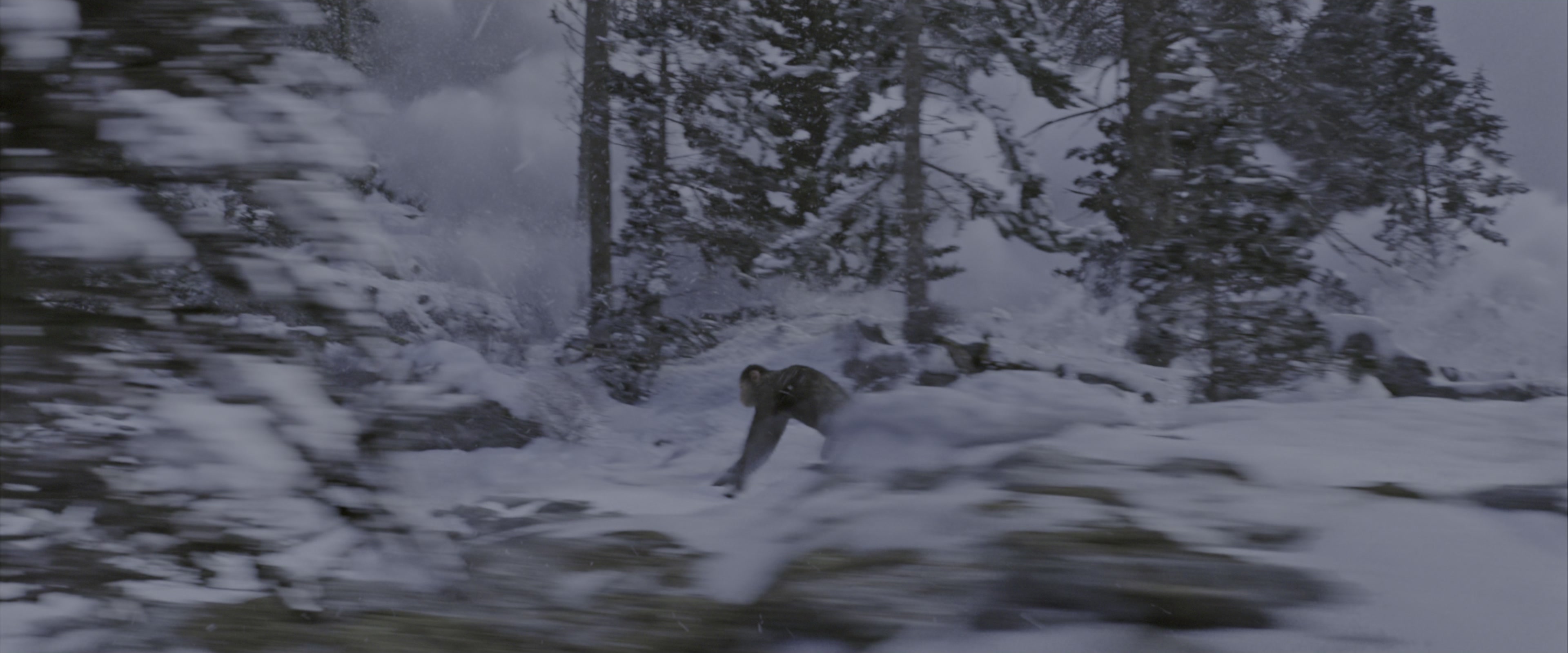 War for the Planet of the Apes (2017), wide, 2.40:1 — film still