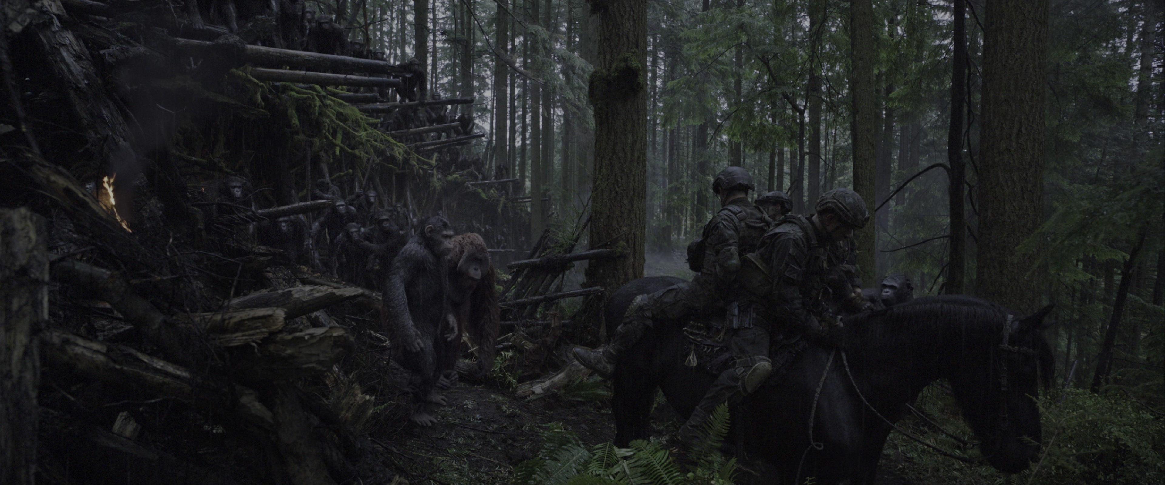 War for the Planet of the Apes (2017), wide, 2.40:1 — film still