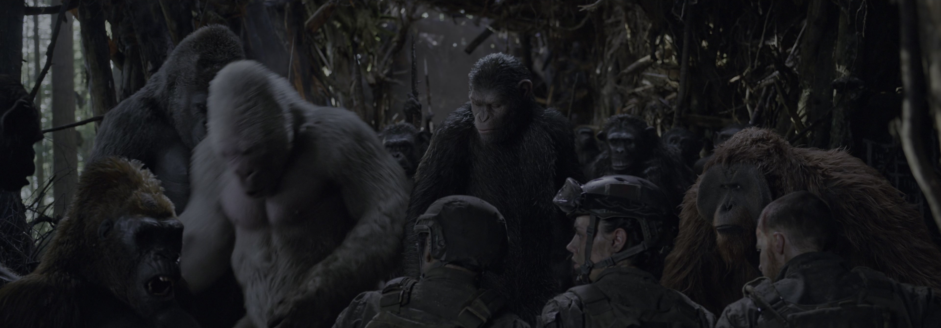 War for the Planet of the Apes (2017), wide, 2.87:1 — film still