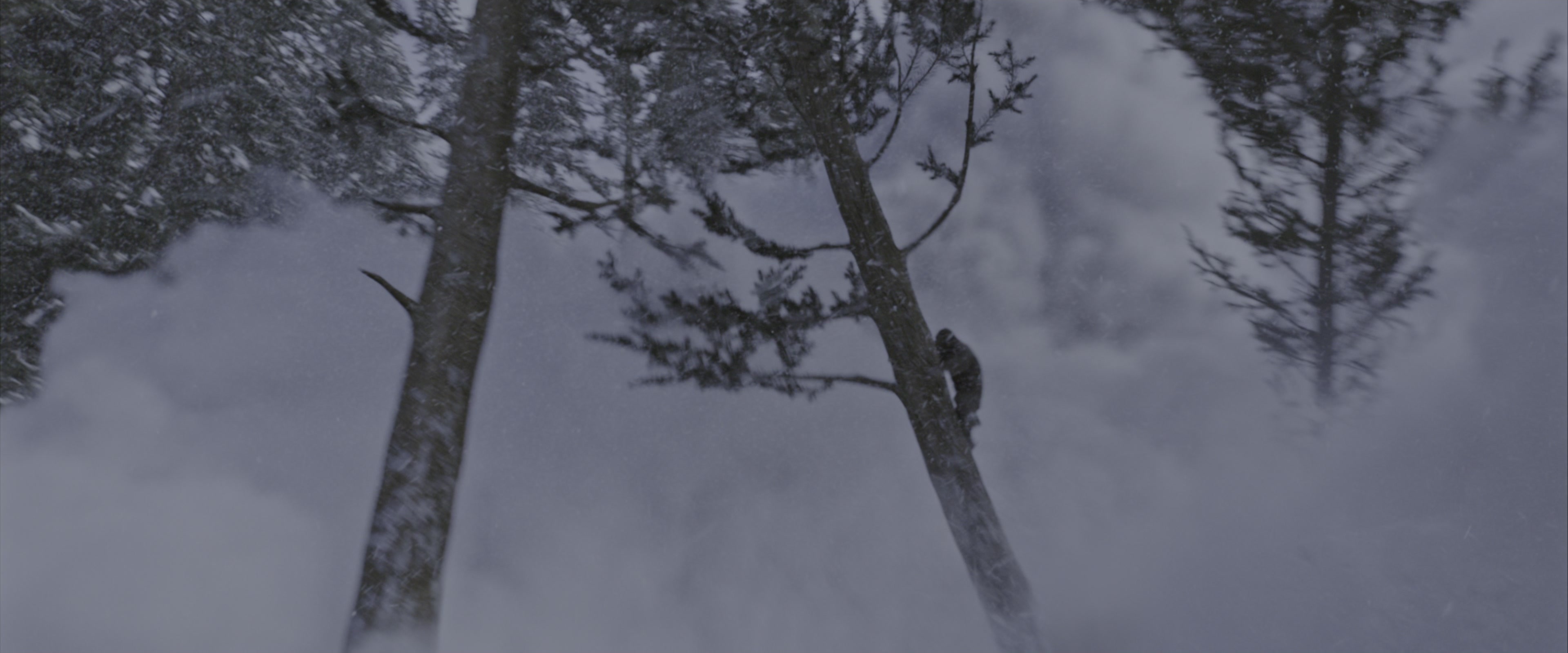 War for the Planet of the Apes (2017), wide, 2.40:1 — film still