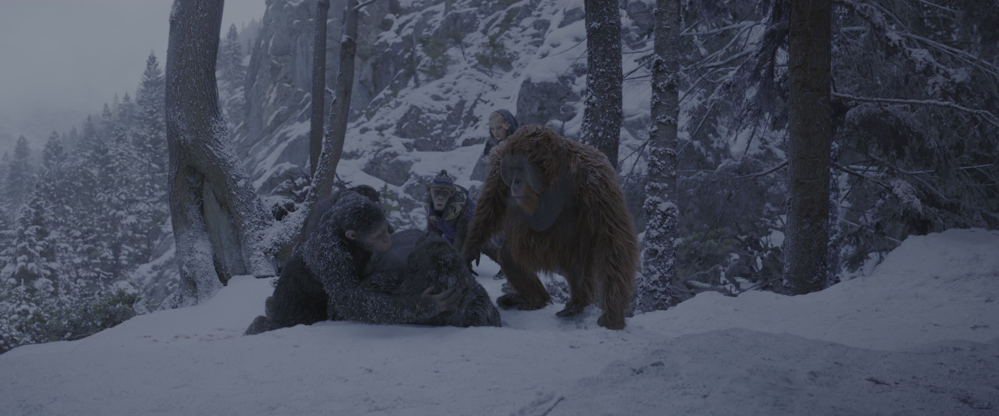 War for the Planet of the Apes (2017), wide, 2.40:1 — film still