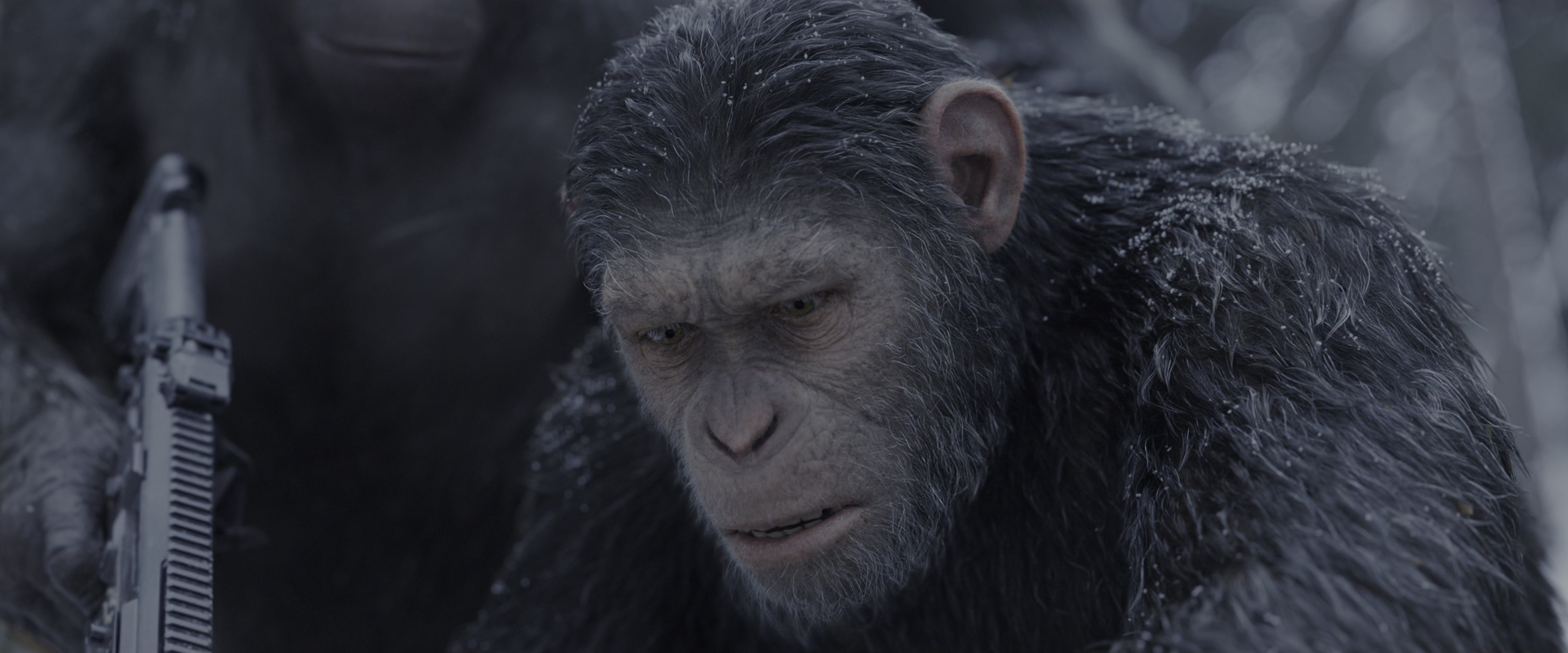 War for the Planet of the Apes (2017), medium, 2.40:1 — film still