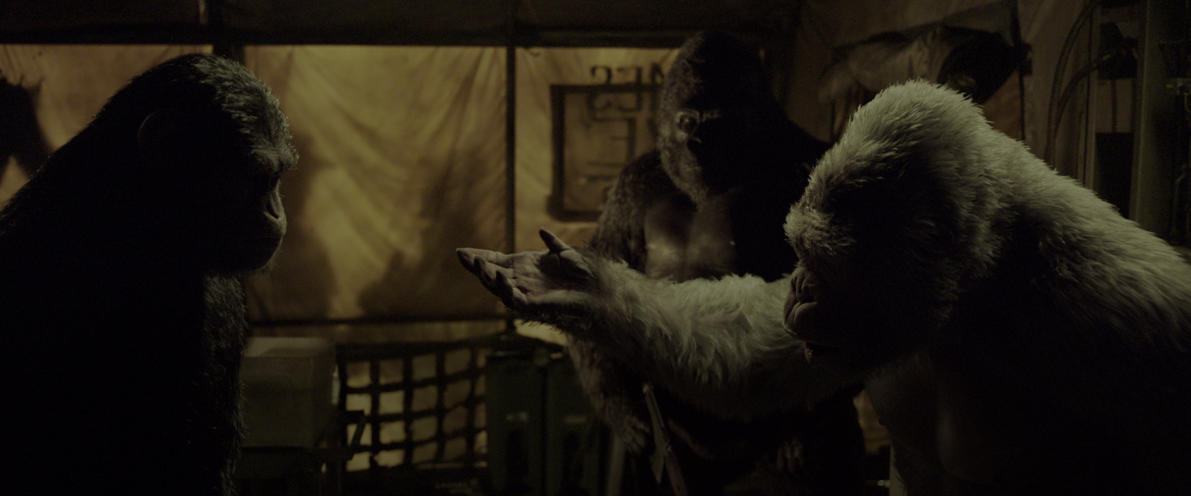 War for the Planet of the Apes (2017), wide, 2.40:1 — film still