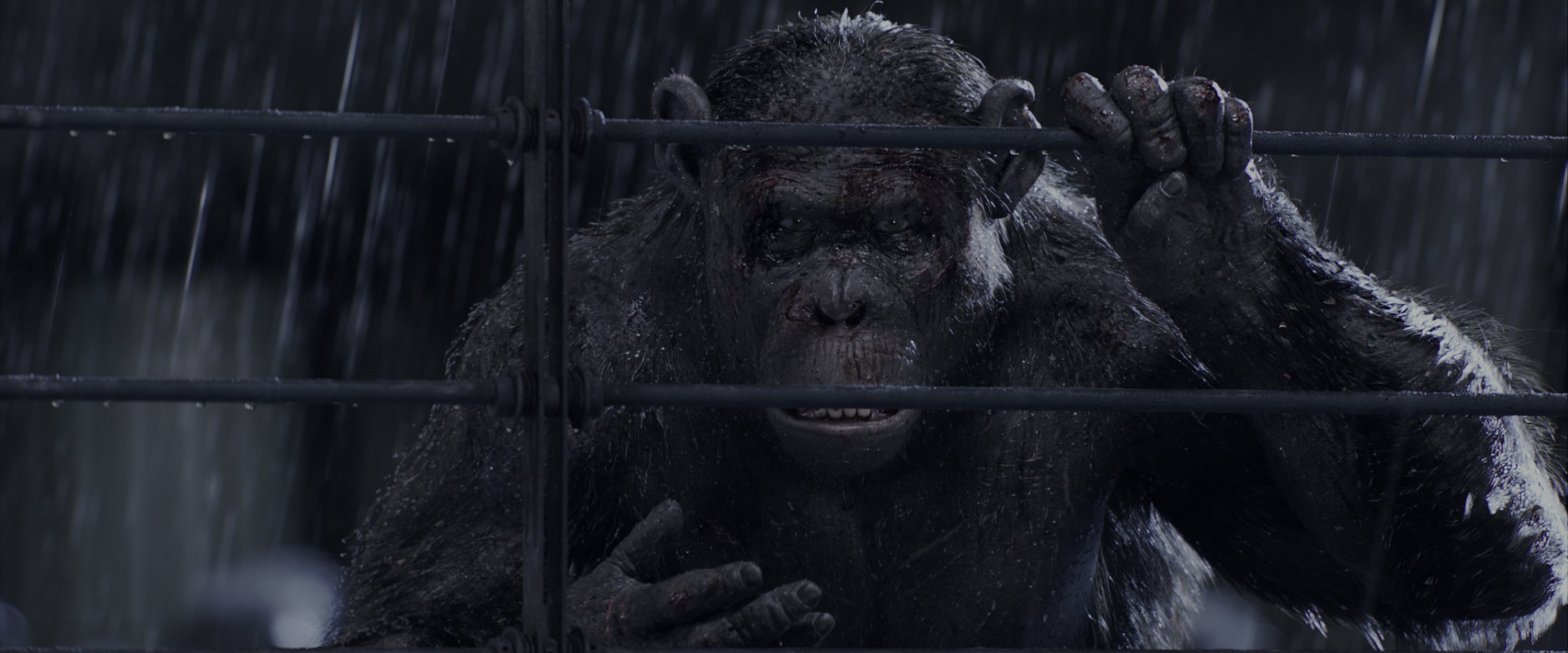 War for the Planet of the Apes (2017), wide, 2.40:1 — film still