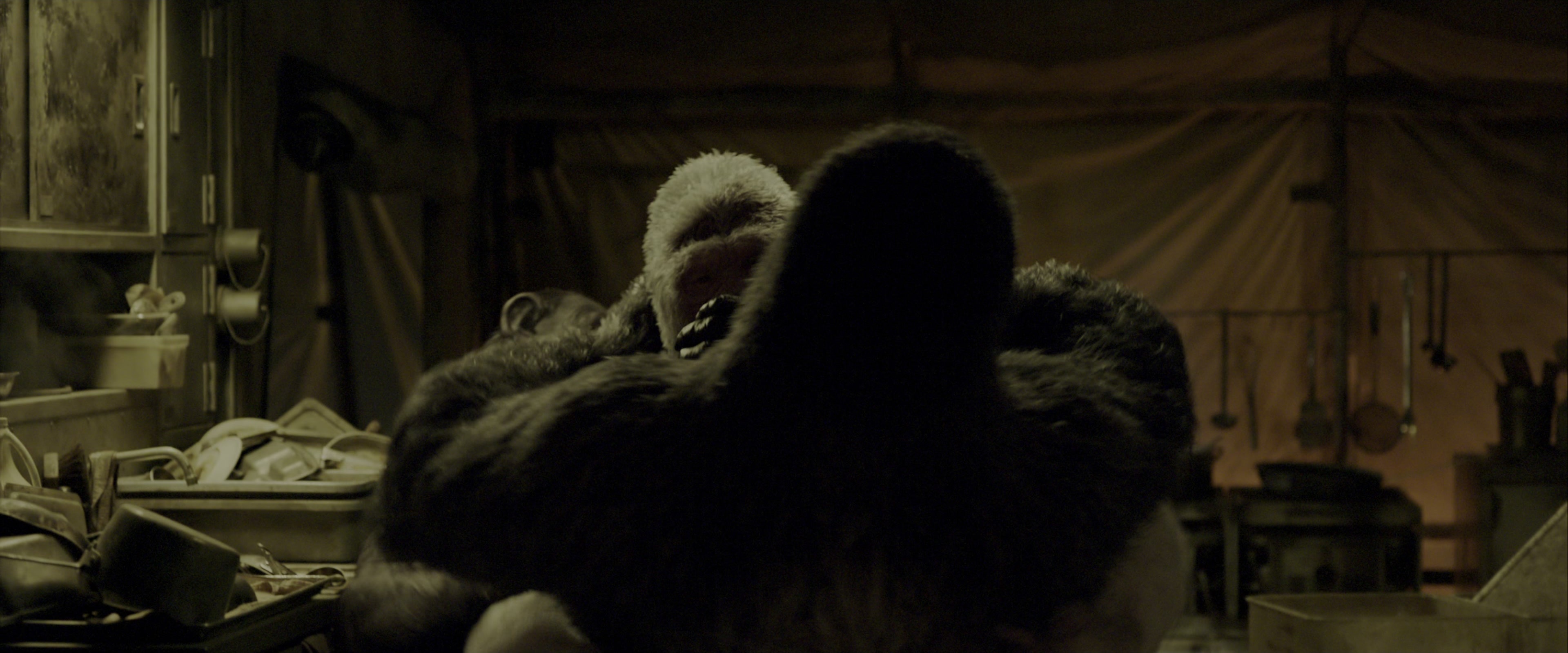 War for the Planet of the Apes (2017), wide, 2.40:1 — film still